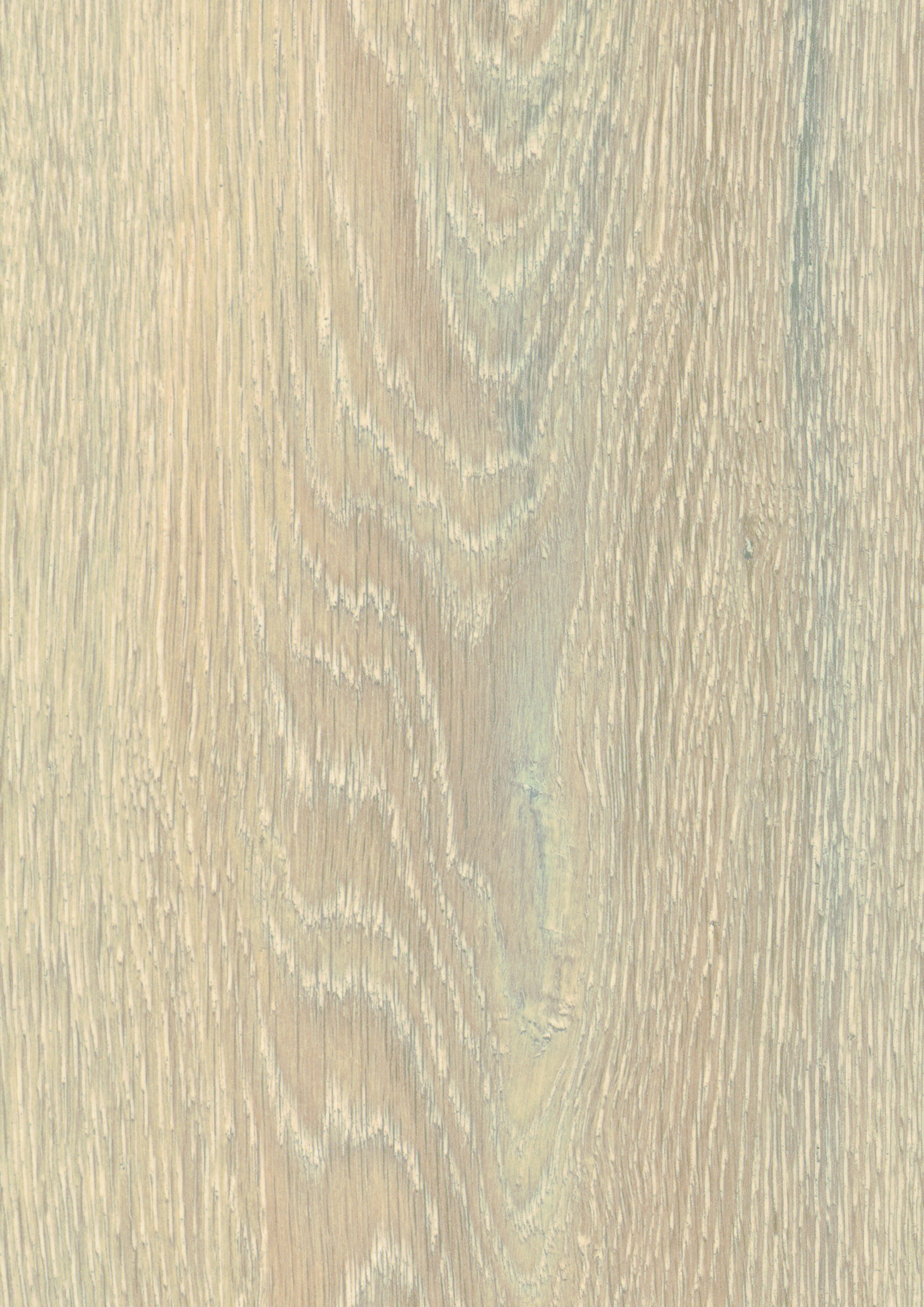 5543 Colorado Oak