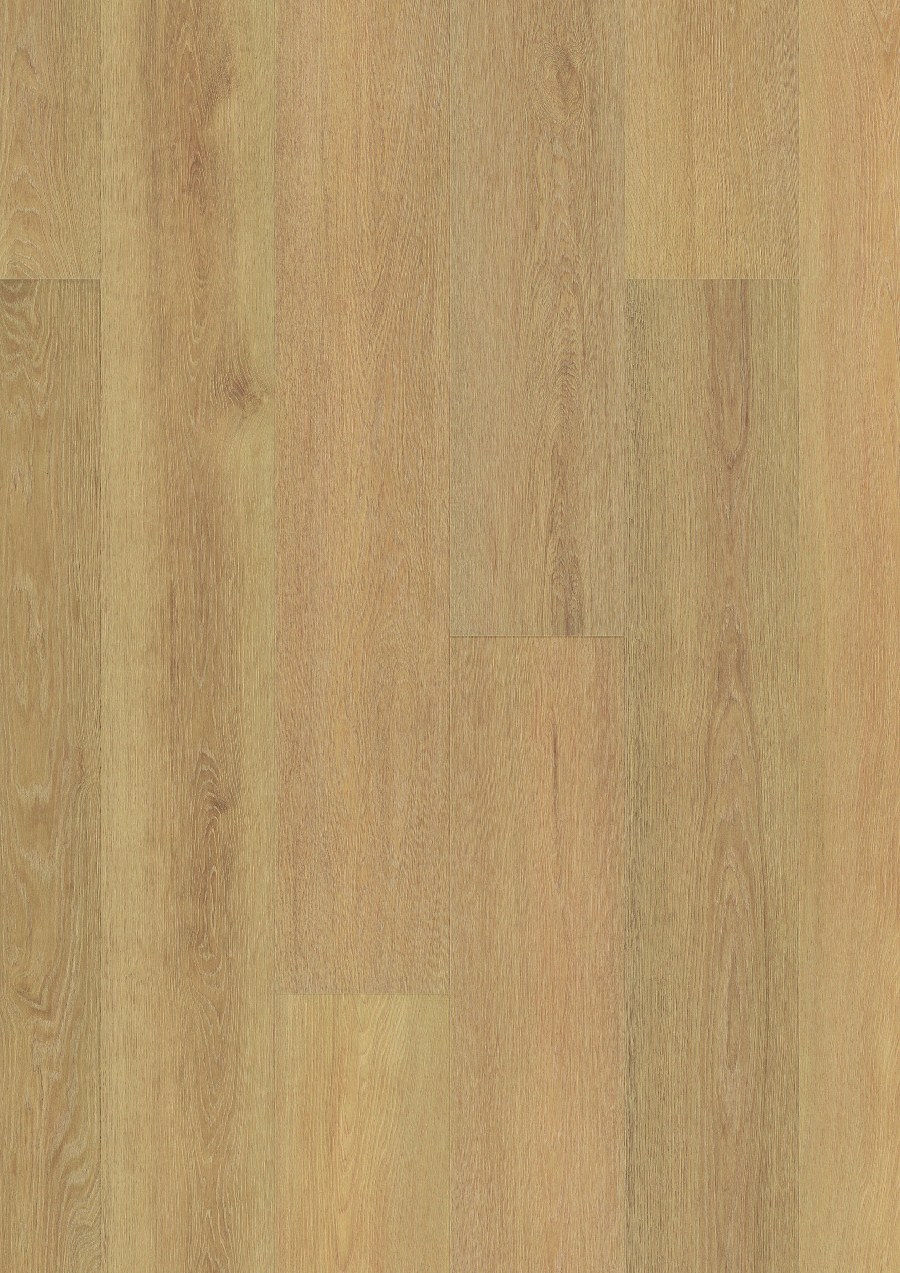 Nahaufnahme des Laminatbodens K657 Honey Montreux Oak - warme Honigtöne mit natürlicher Eichenmaserung