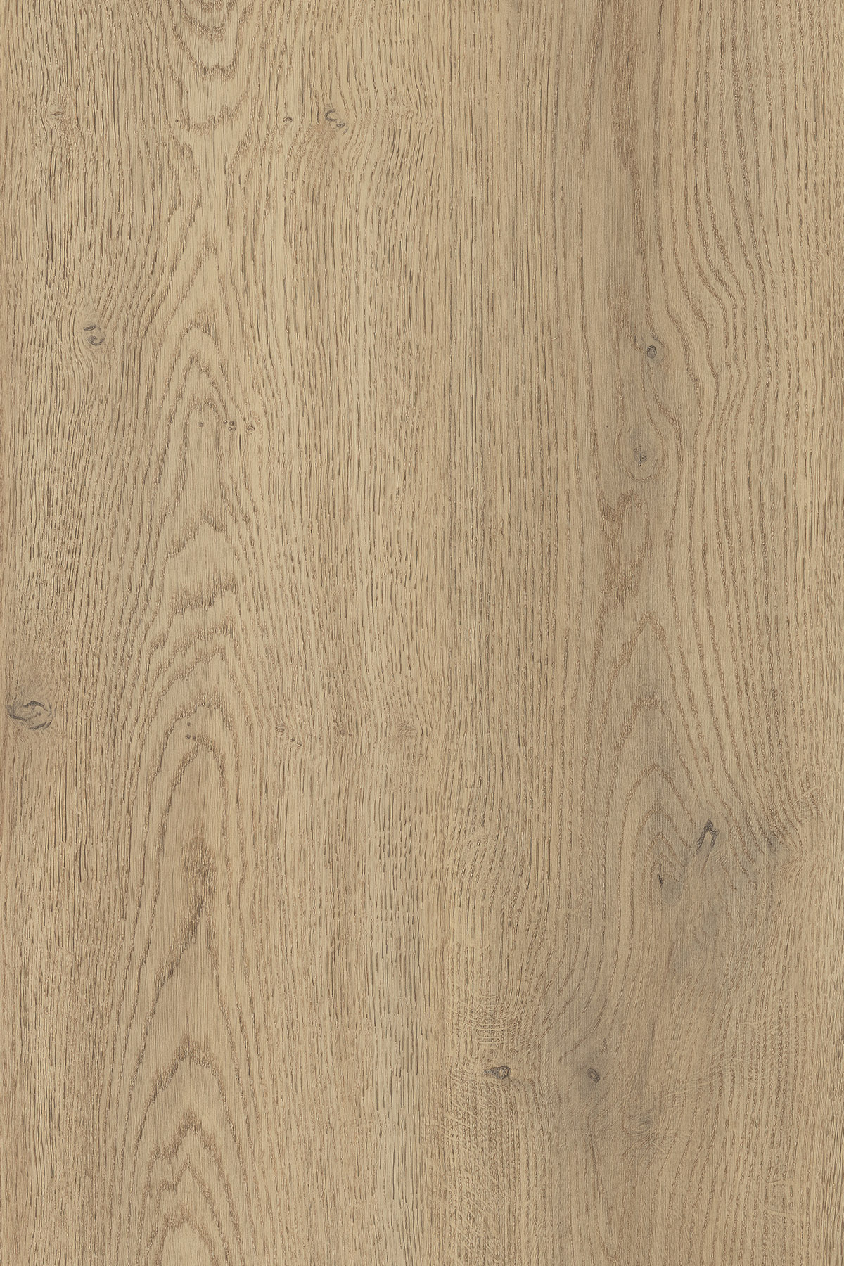 K2738 Torro Cremona Oak FP (Worktop HPL sample)