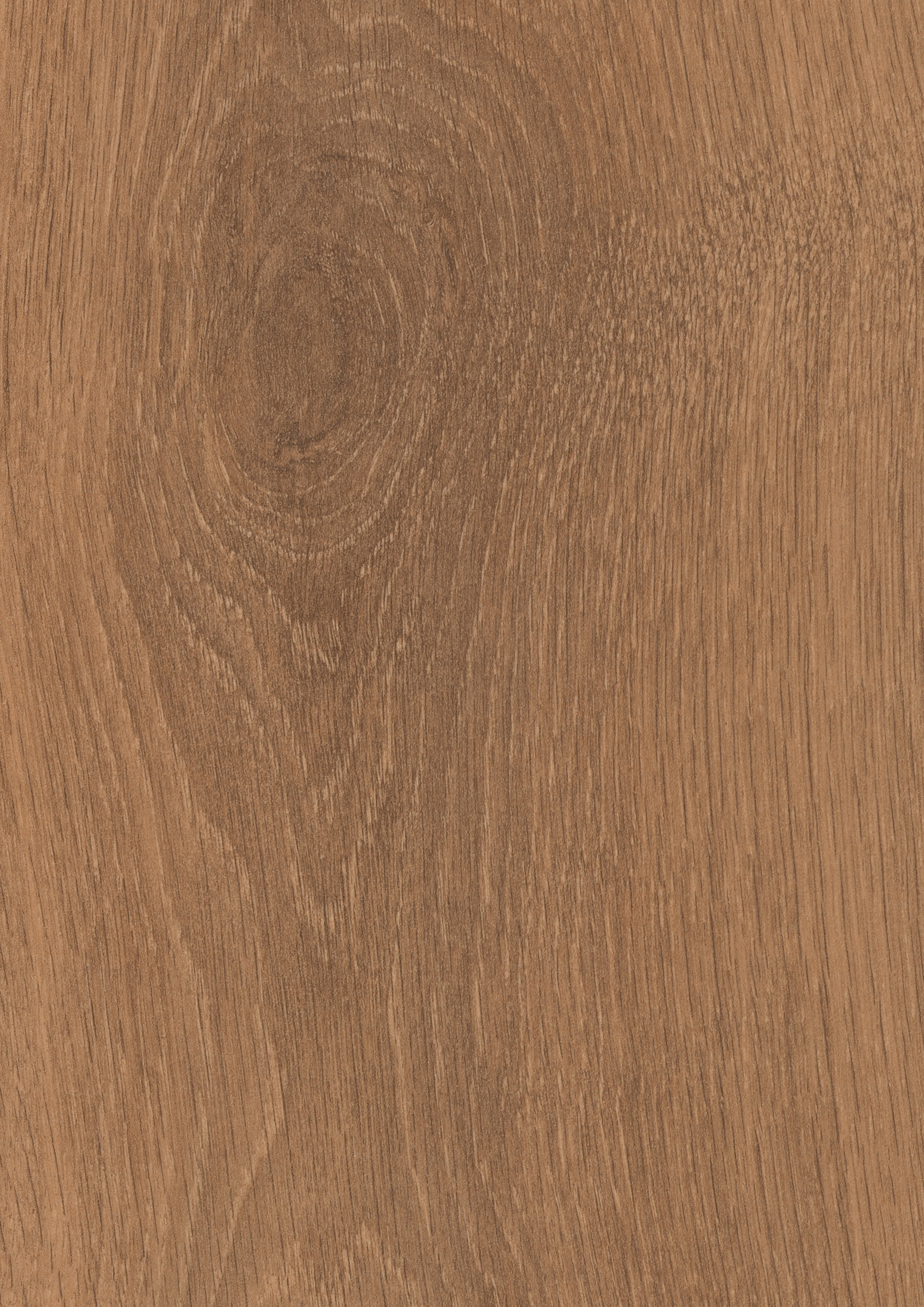 Detailed close-up of 8573 Harlech Oak, showcasing its rich wood grain and natural texture.