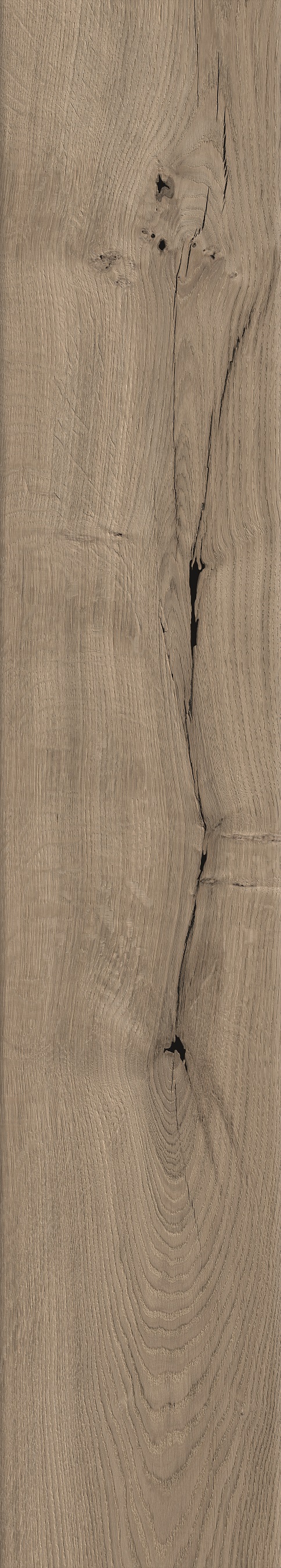 O272 Oak Bristol