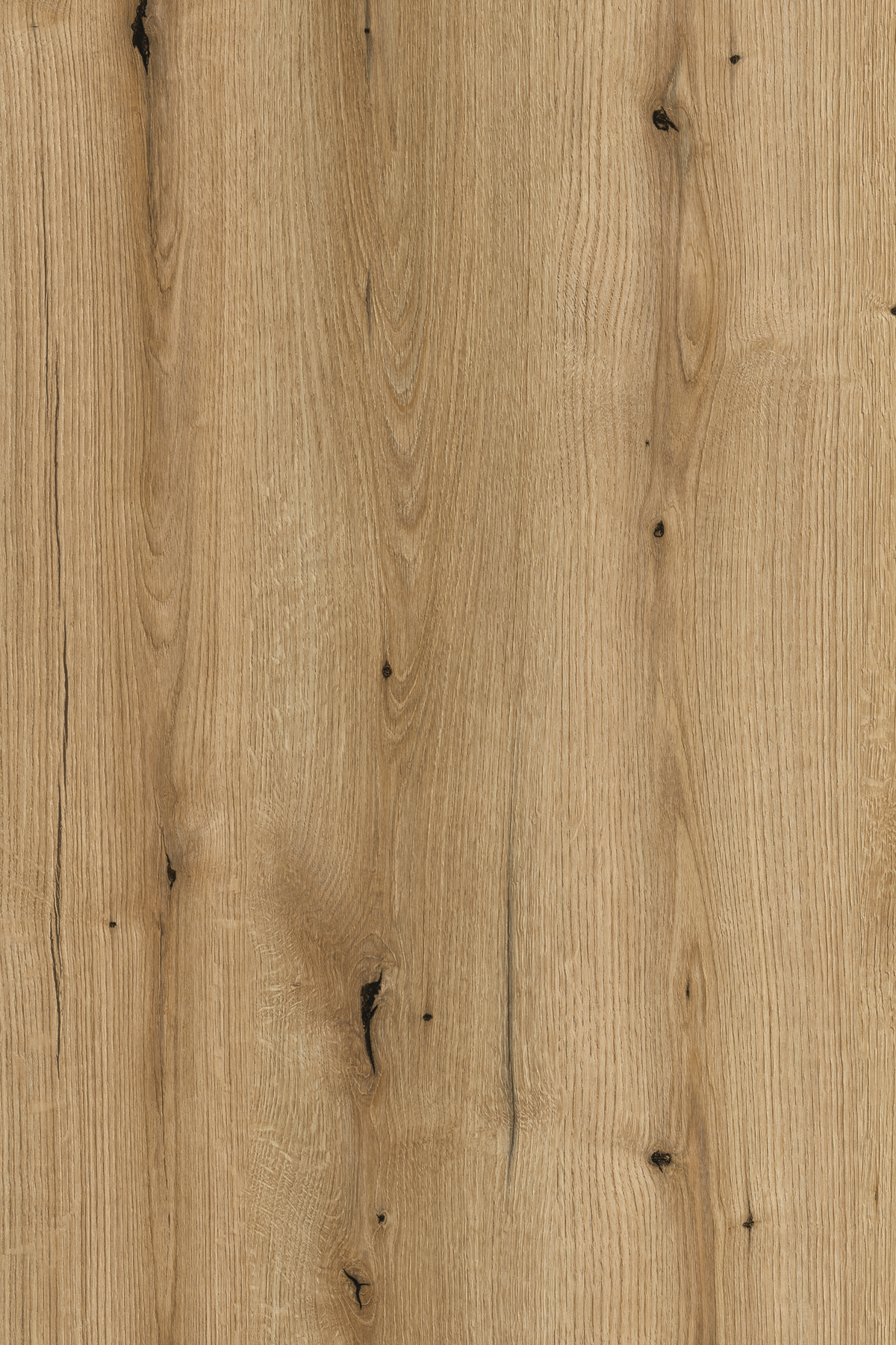 Coast Evoke Oak PW HPL with textured surface, rustic weathered look, and medium brown tones for a coastal-inspired charm.