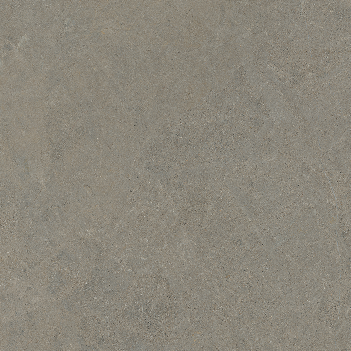 Close-up of Atacama Fields B SPC  wall panel from Rocko Tiles collection with concrete texture – decorative waterproof PVC wall panel for bathrooms and kitchens