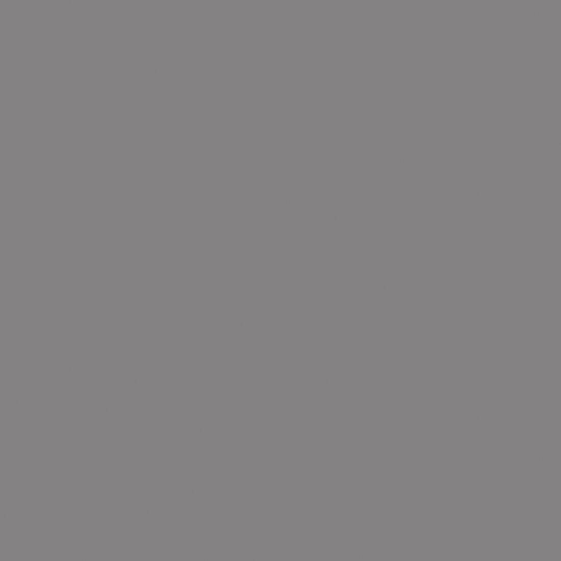 0171 Slate Grey AF (FeelNess invisible touch sample)