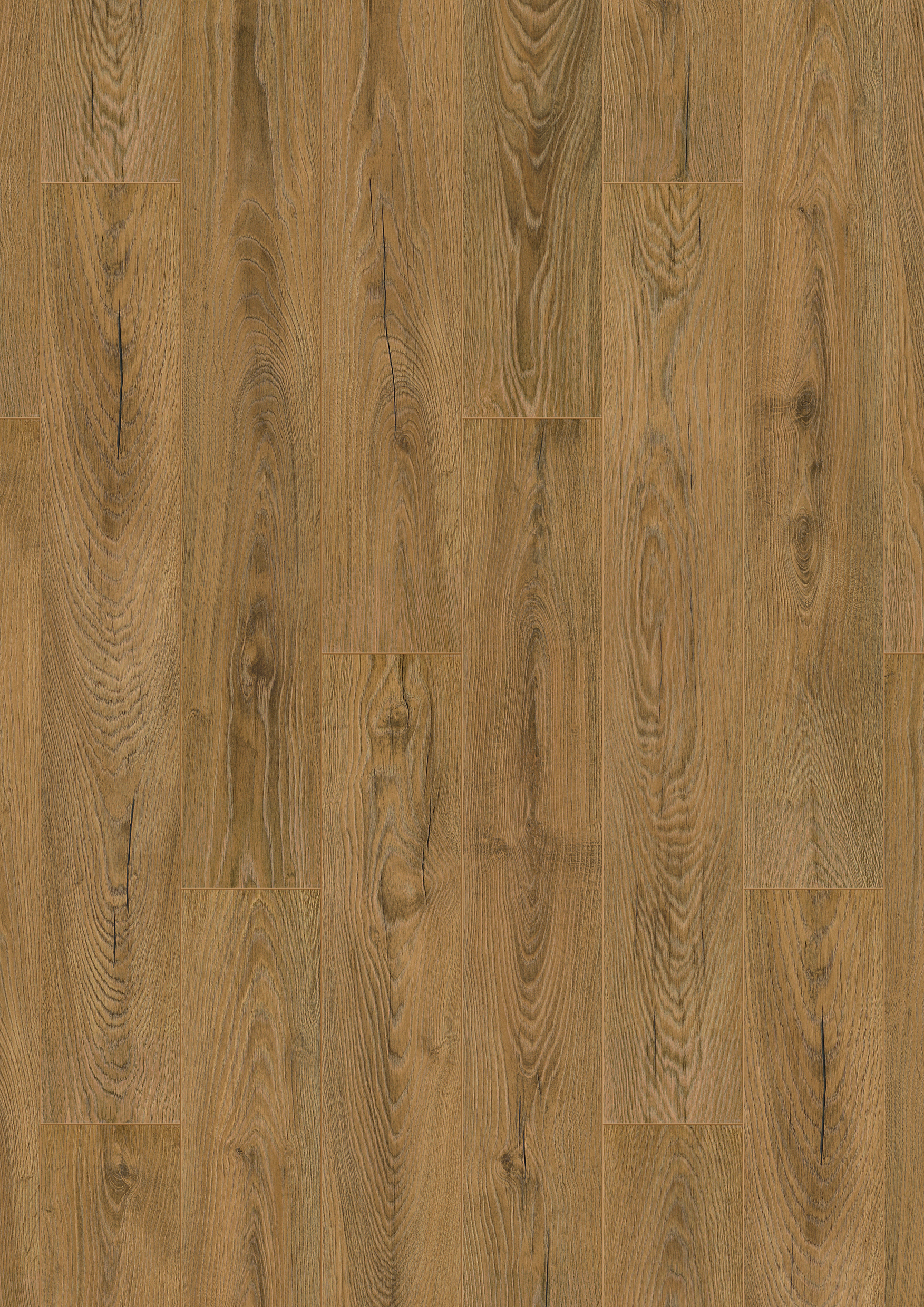 K476 Inca Carpenter Oak