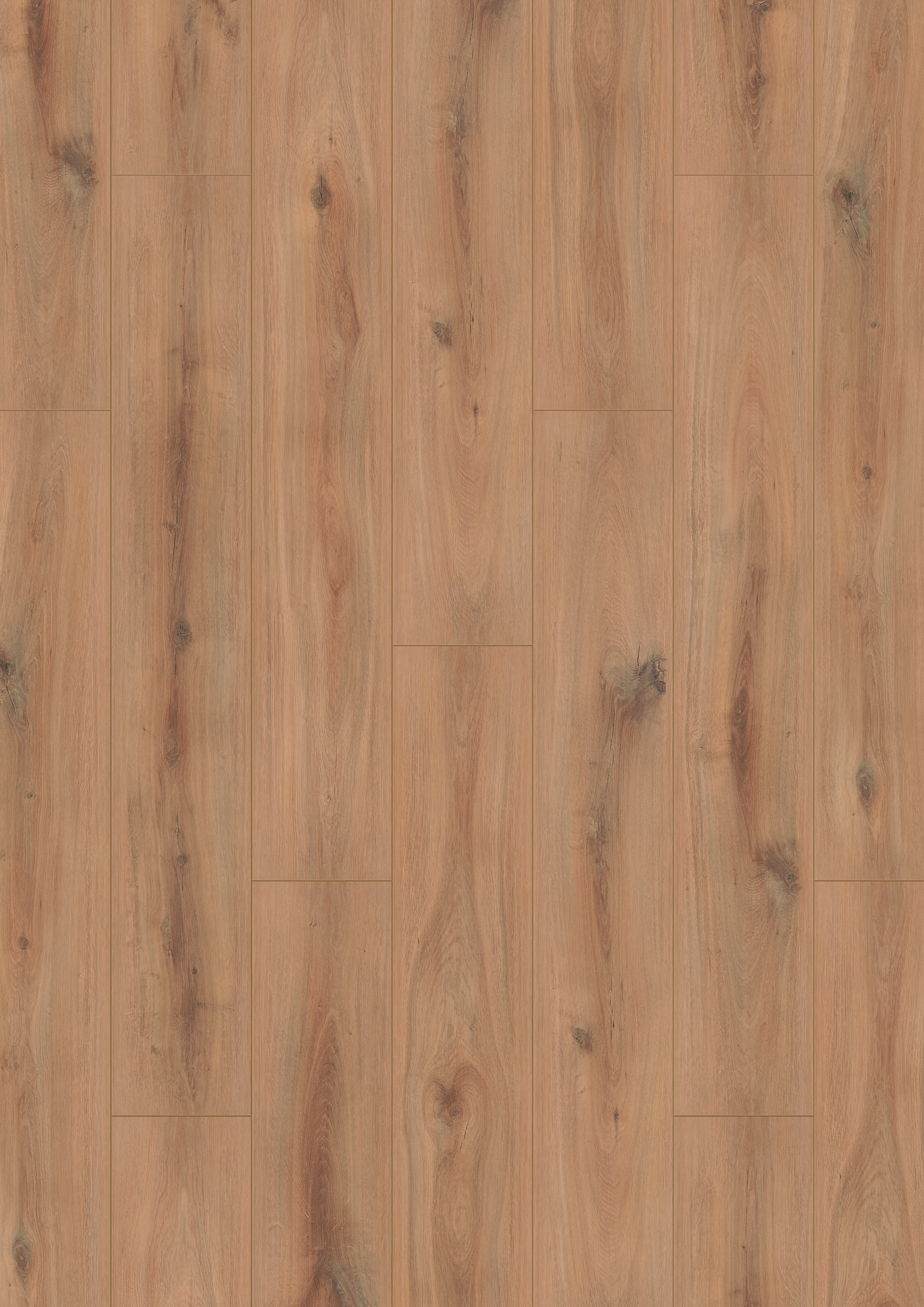K230 Golden Vista Oak
