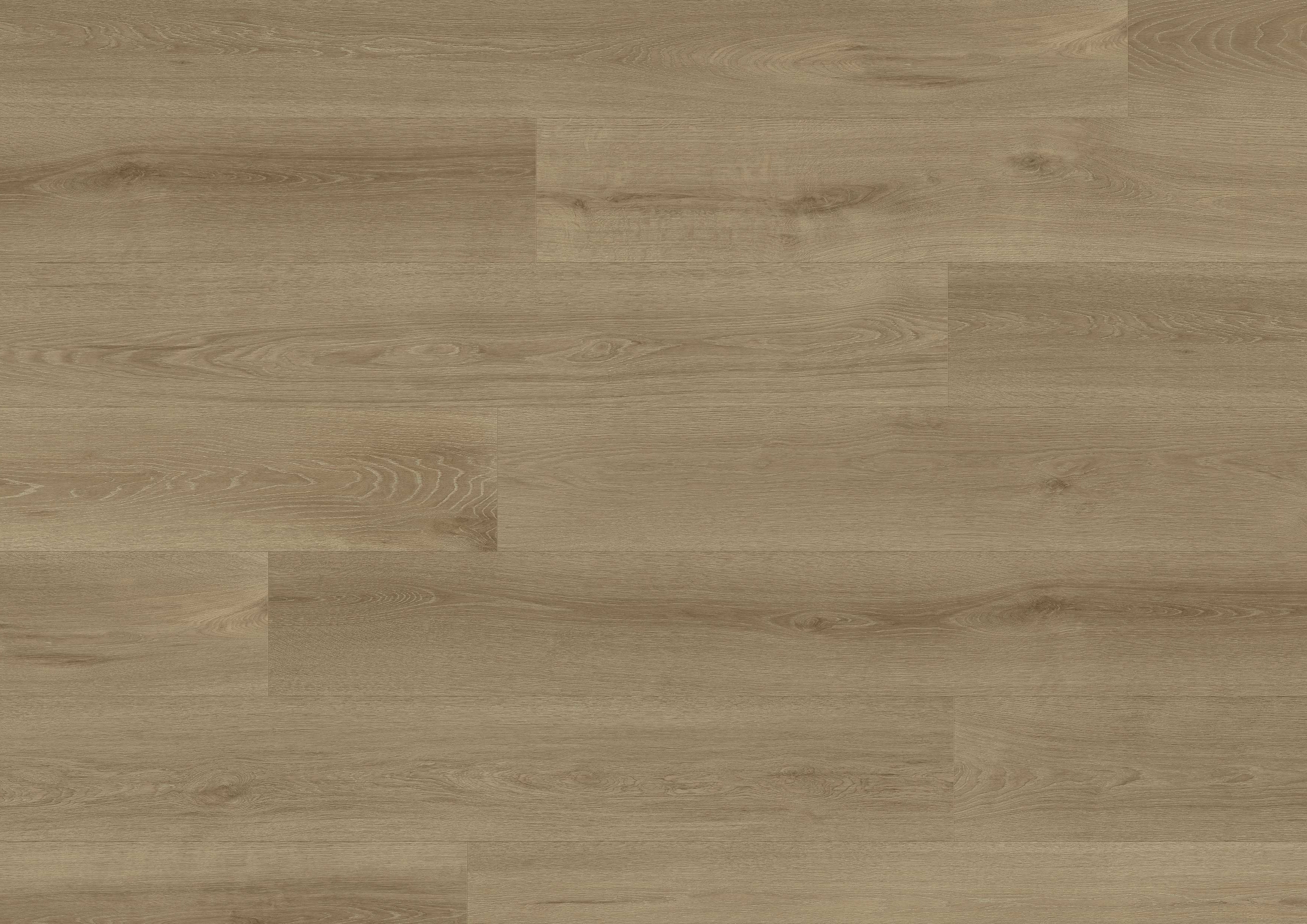 Close-up of K658 Canvas Montreux Oak laminate flooring – soft neutral tones with authentic wood texture