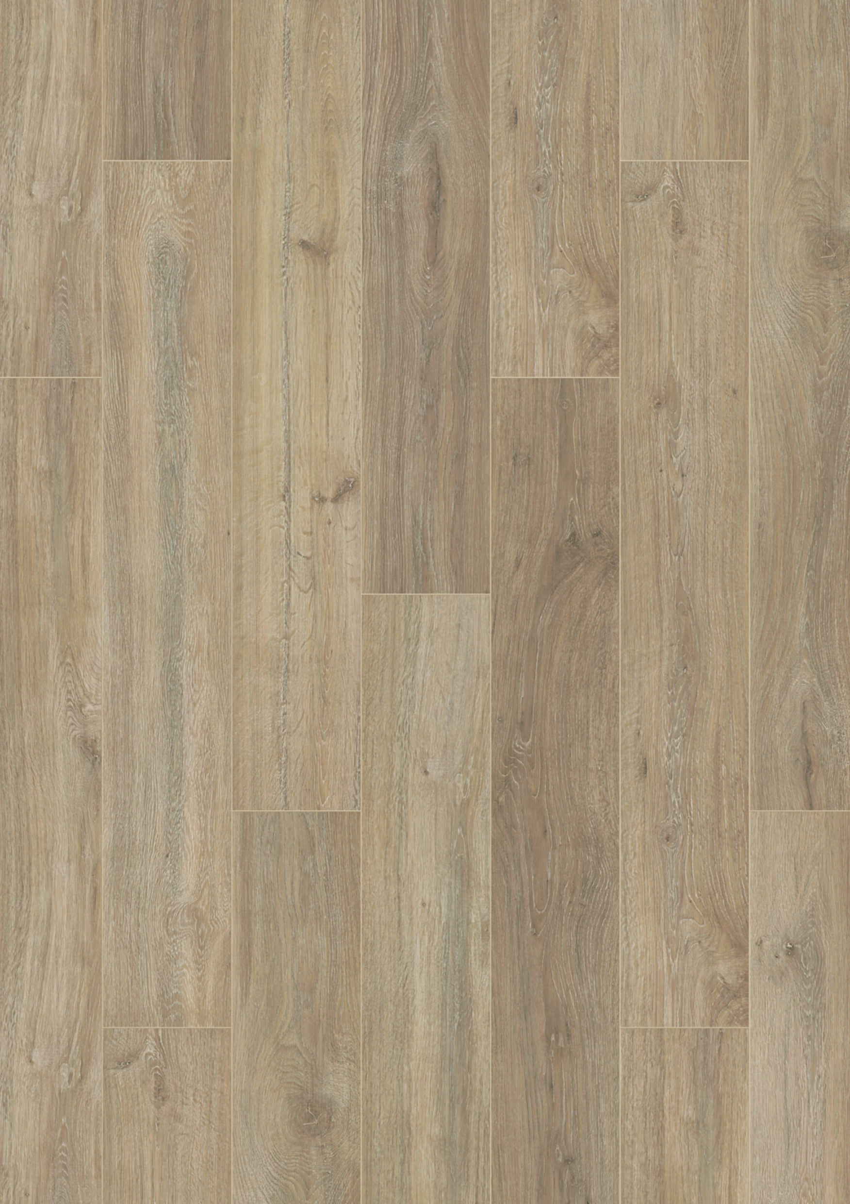 5966 Khaki Oak (sample)