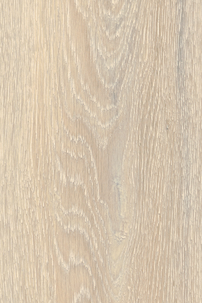 5543 Colorado Oak
