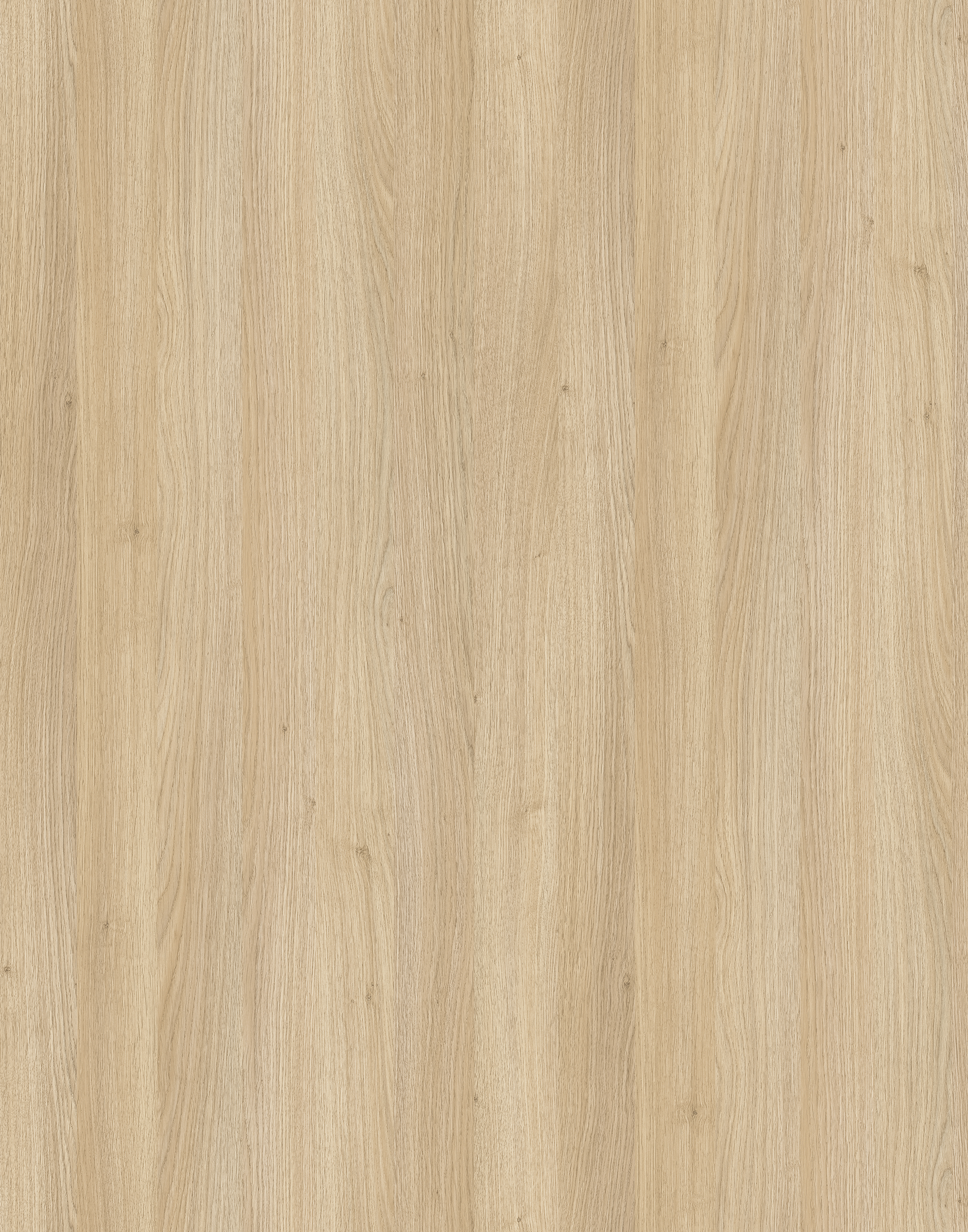 Detailed close-up of 8431 Fine Oak SN HPL, showcasing its smooth surface and fine oak wood grain pattern.