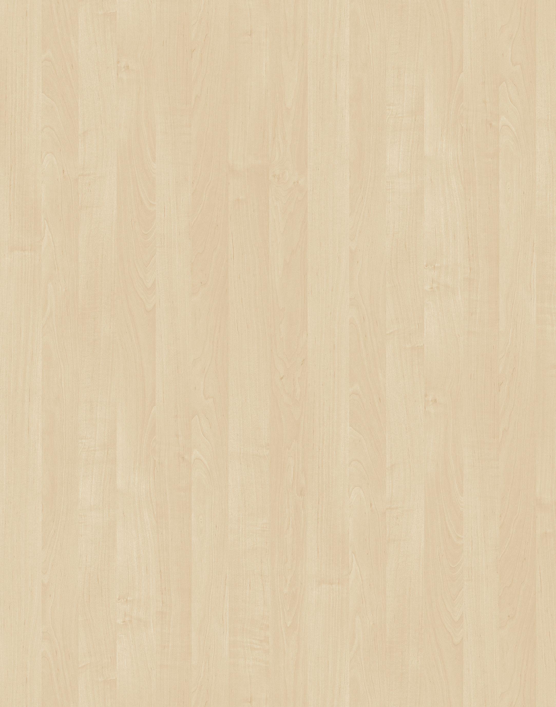 Birch BS HPL with textured surface, light tones, and a subtle sheen for a natural and delicate look.