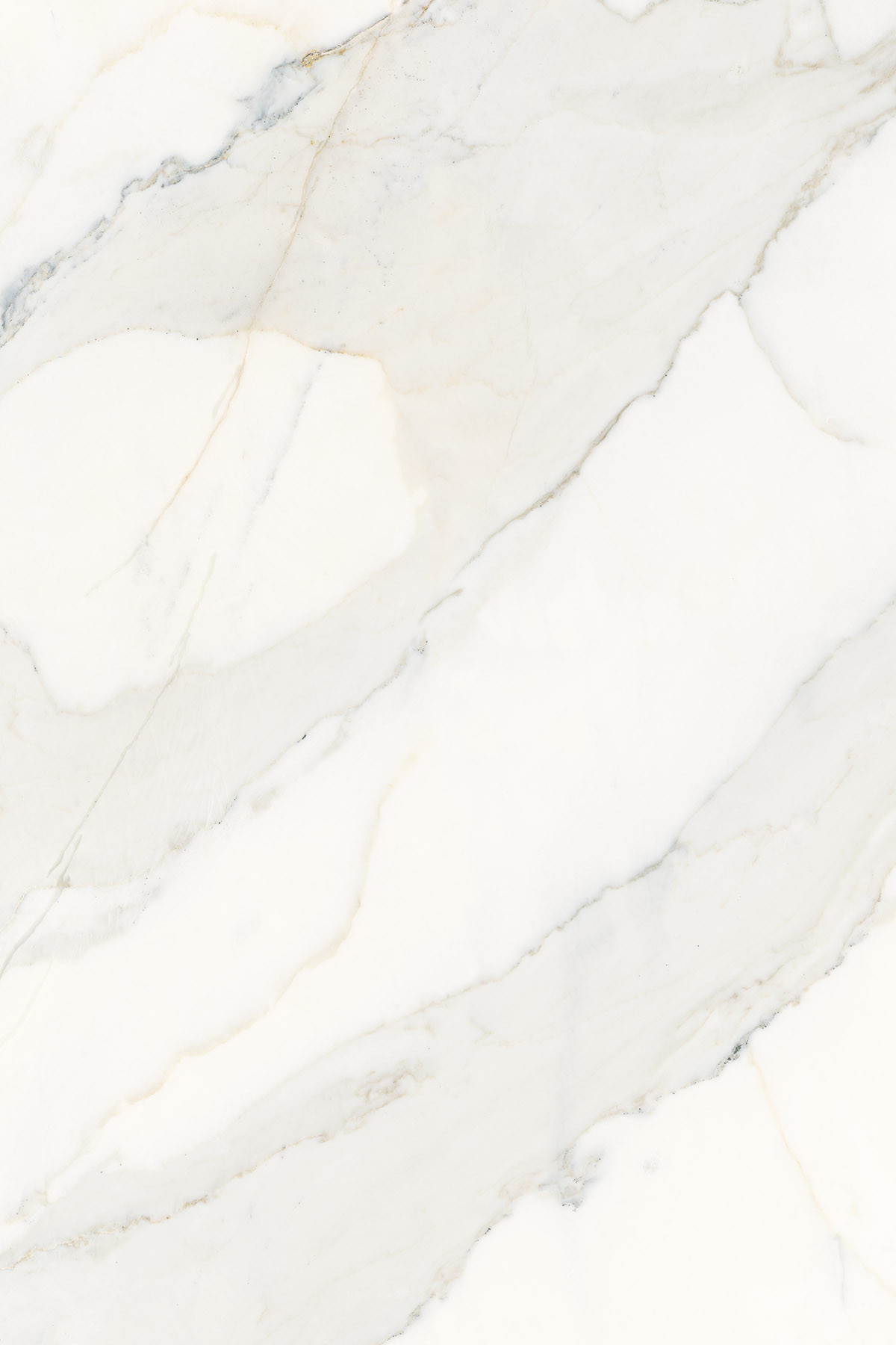 K551 Calacatta Olympus (Worktop)
