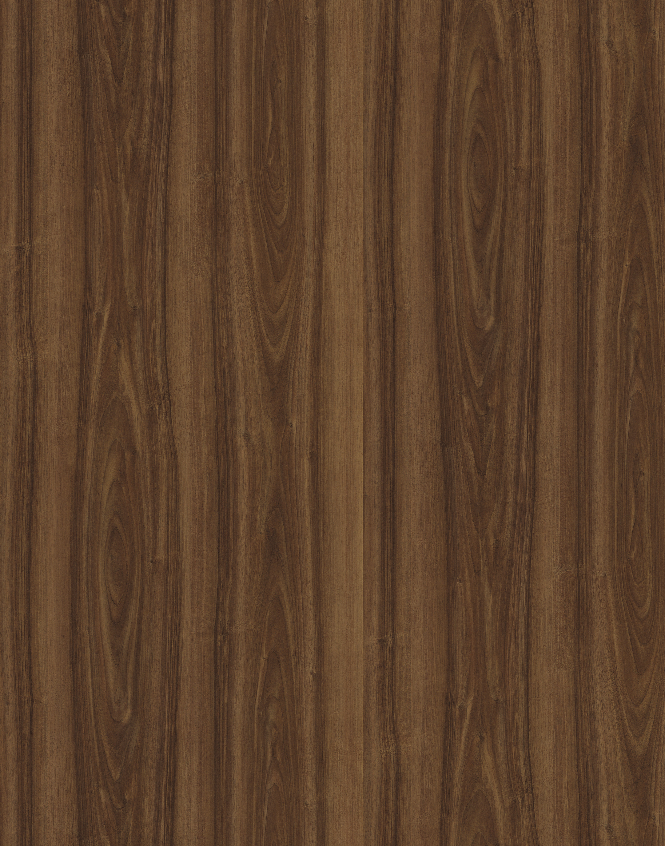 Classic Walnut PR HPL with textured surface, deep brown tones, and timeless appeal.