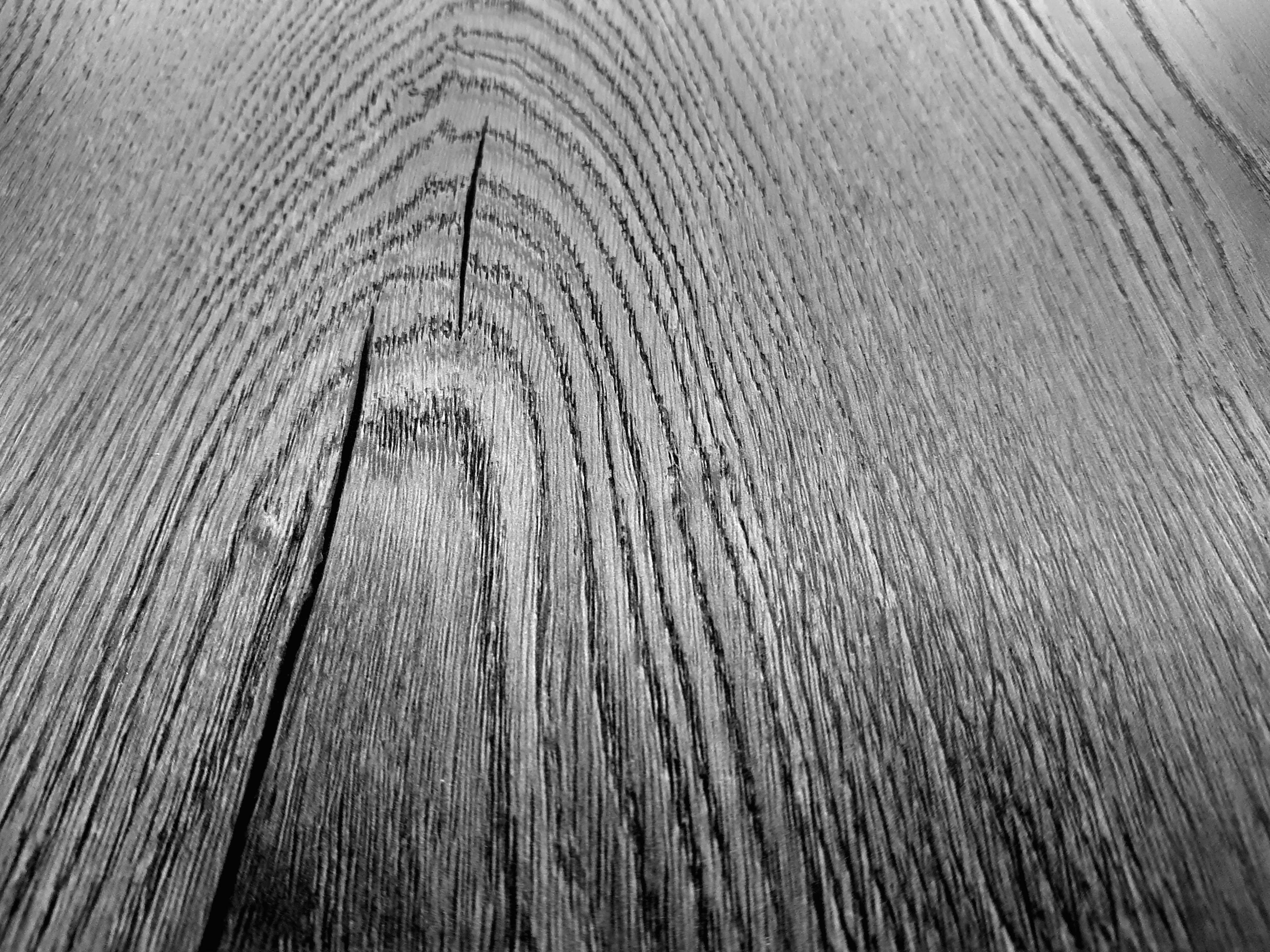K488 Rutherford Oak