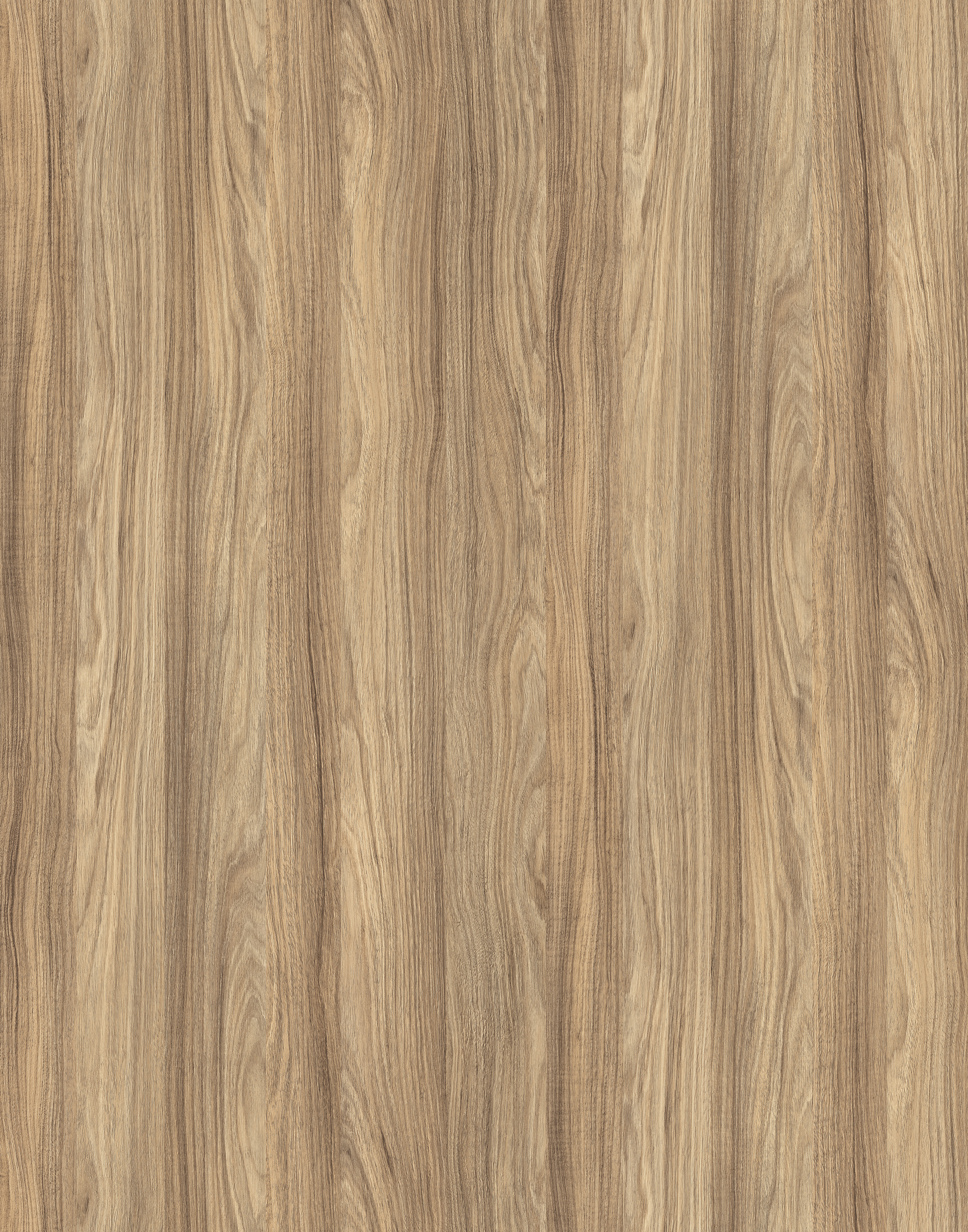 Close-up of PB sample, K021 Barley Blackwood, showing grain pattern details.