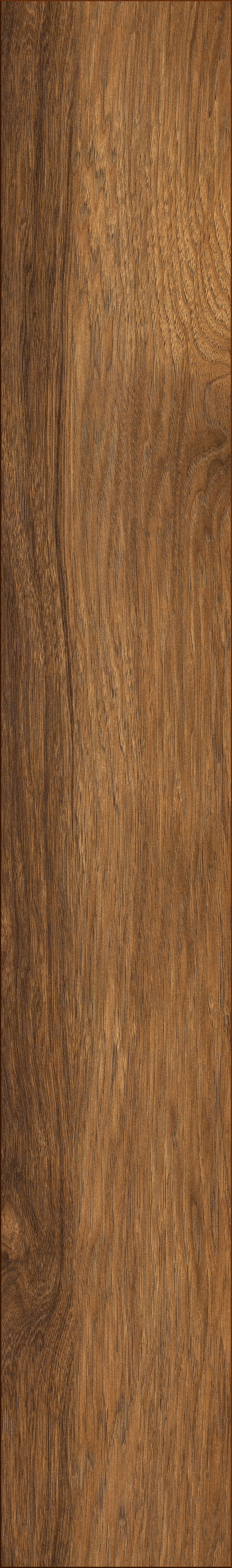 8155 Appalachian Hickory