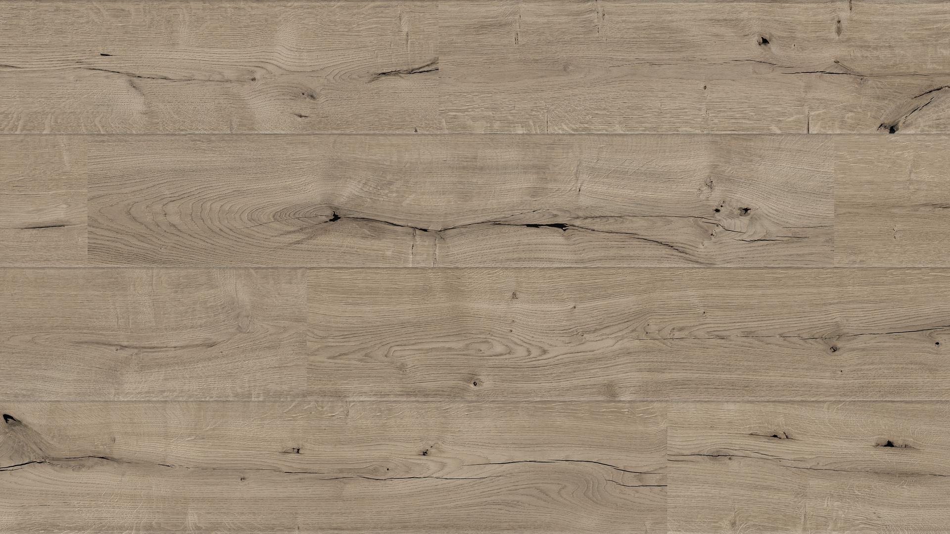 O272 Oak Bristol