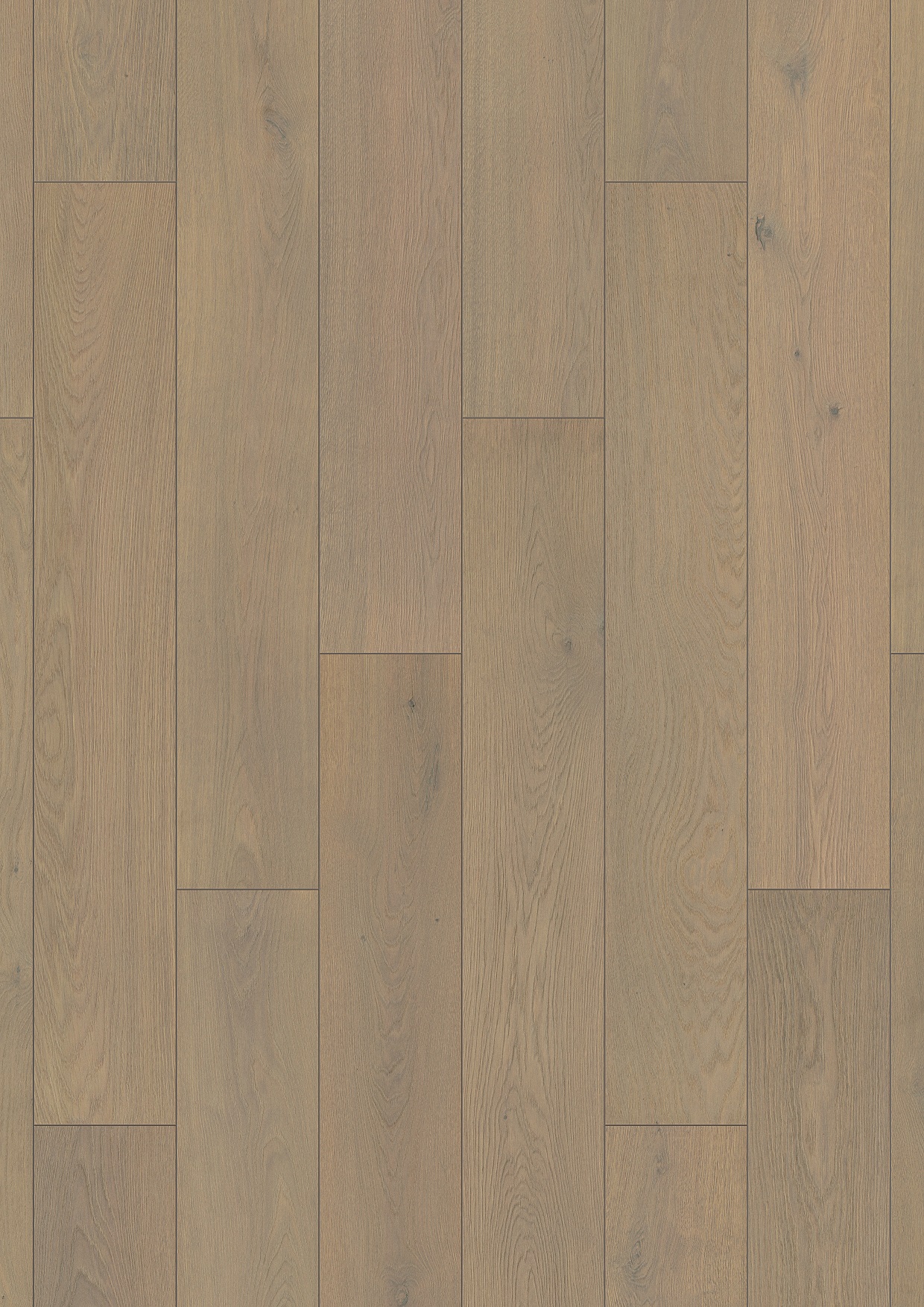 Detailed top view of Copper Ethereal Oak KronoOriginal  laminate flooring surface with warm hues and embossed wood texture