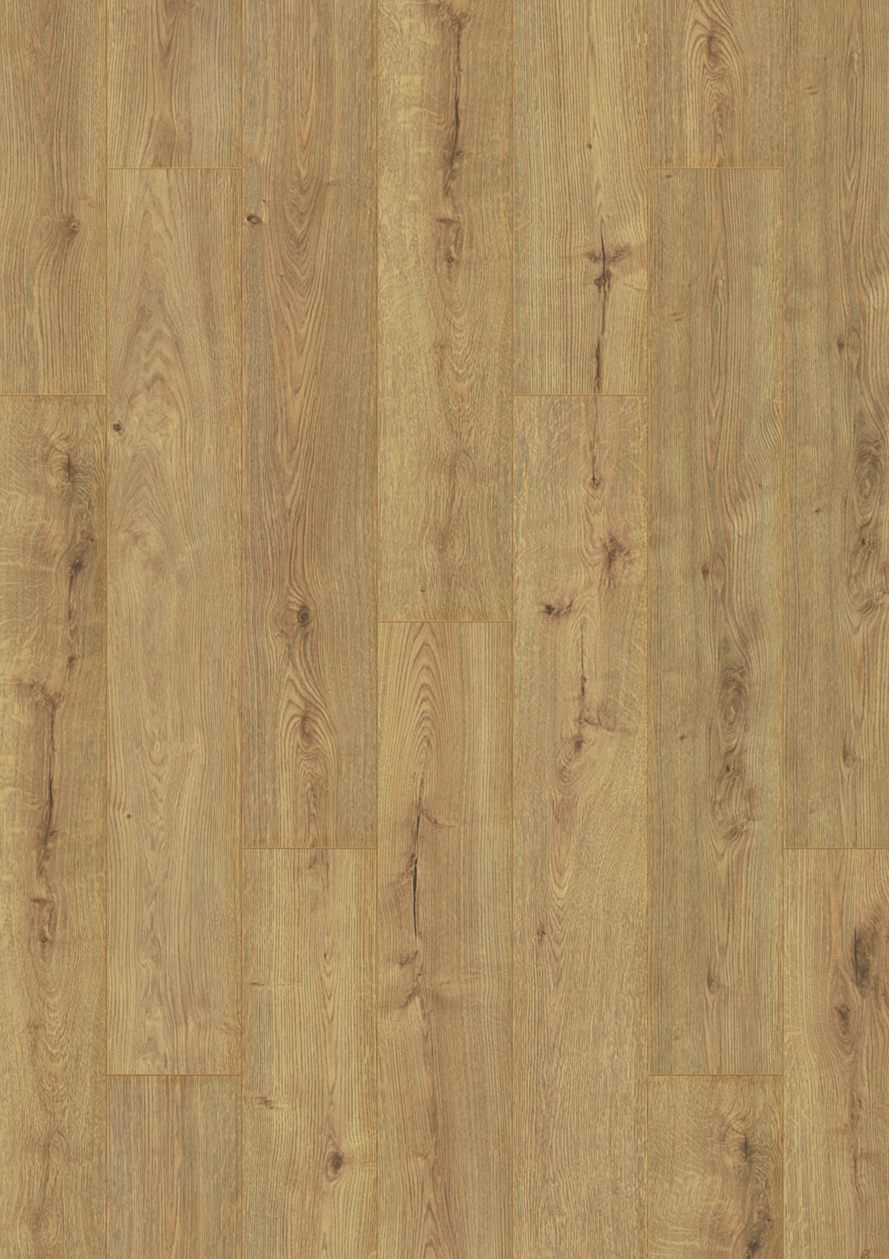 K326 Sundance Oak