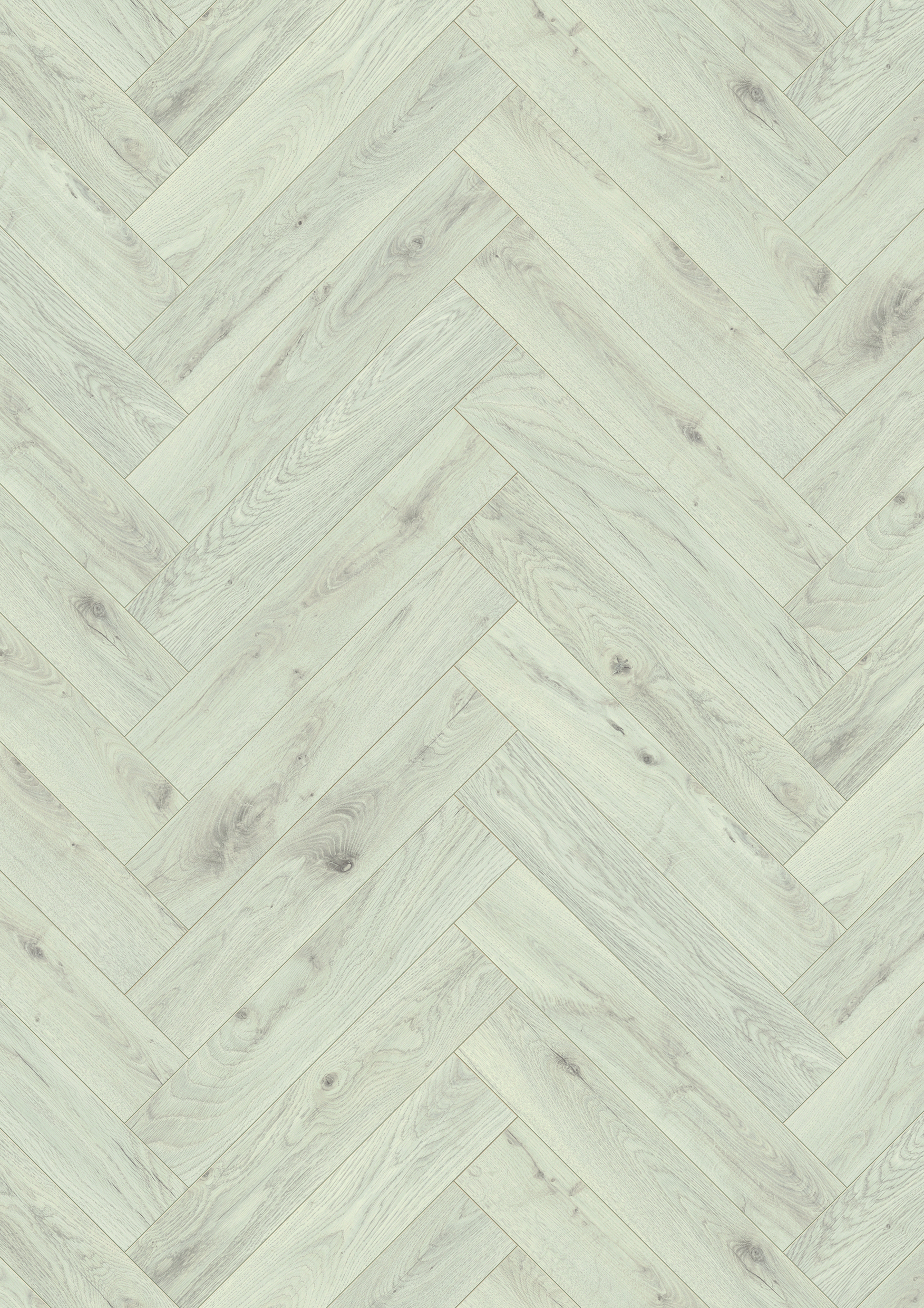 5953 Chantilly Oak (sample)