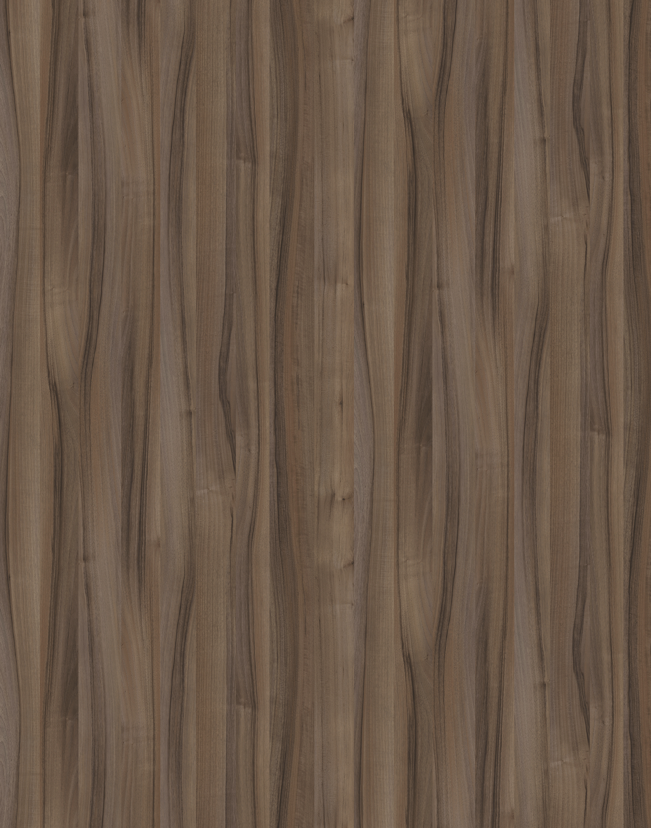 Detailed close-up of 8953 Tiepolo Walnut SU HPL, showcasing its exquisite walnut wood grain pattern and smooth surface.