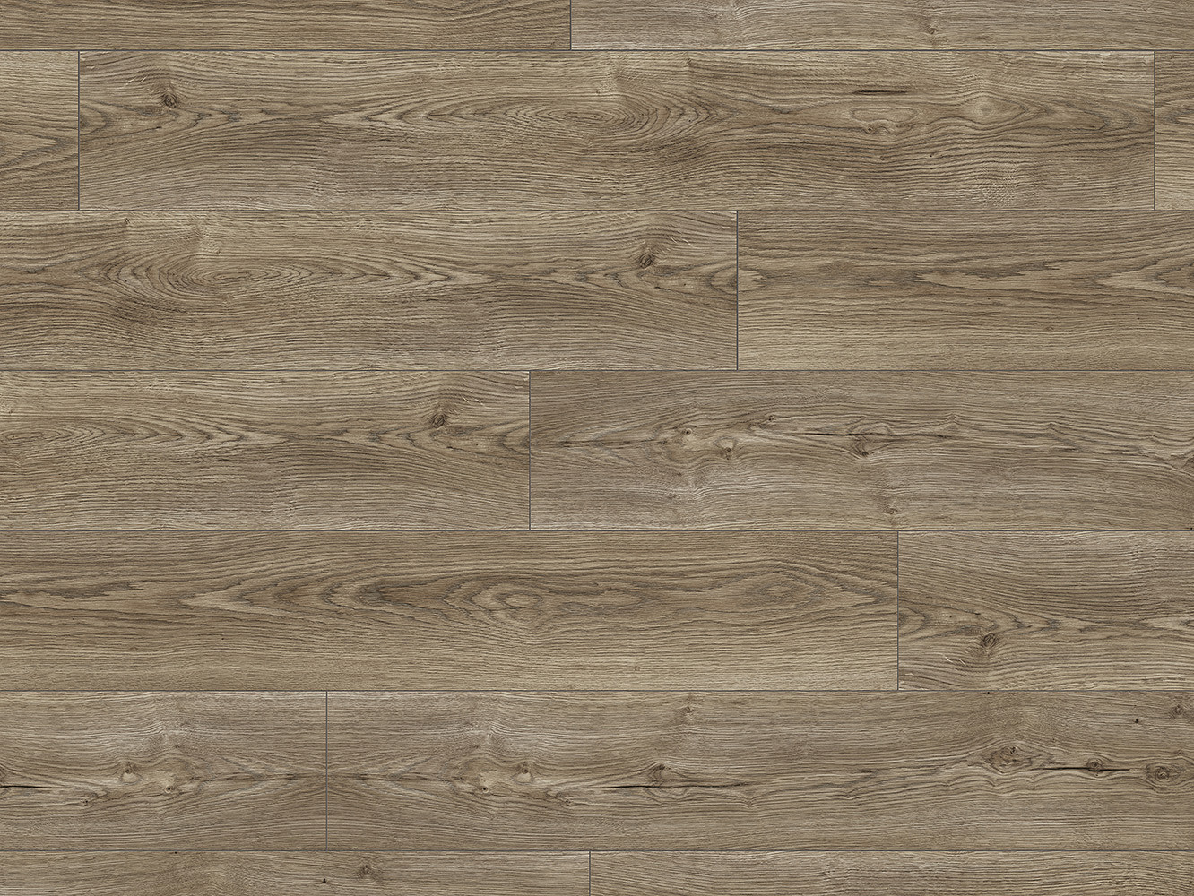 Close-up of 'K482 Twiling Sterling Oak' flooring highlighting detailed grain patterns and twilight-inspired silver-gray hues.