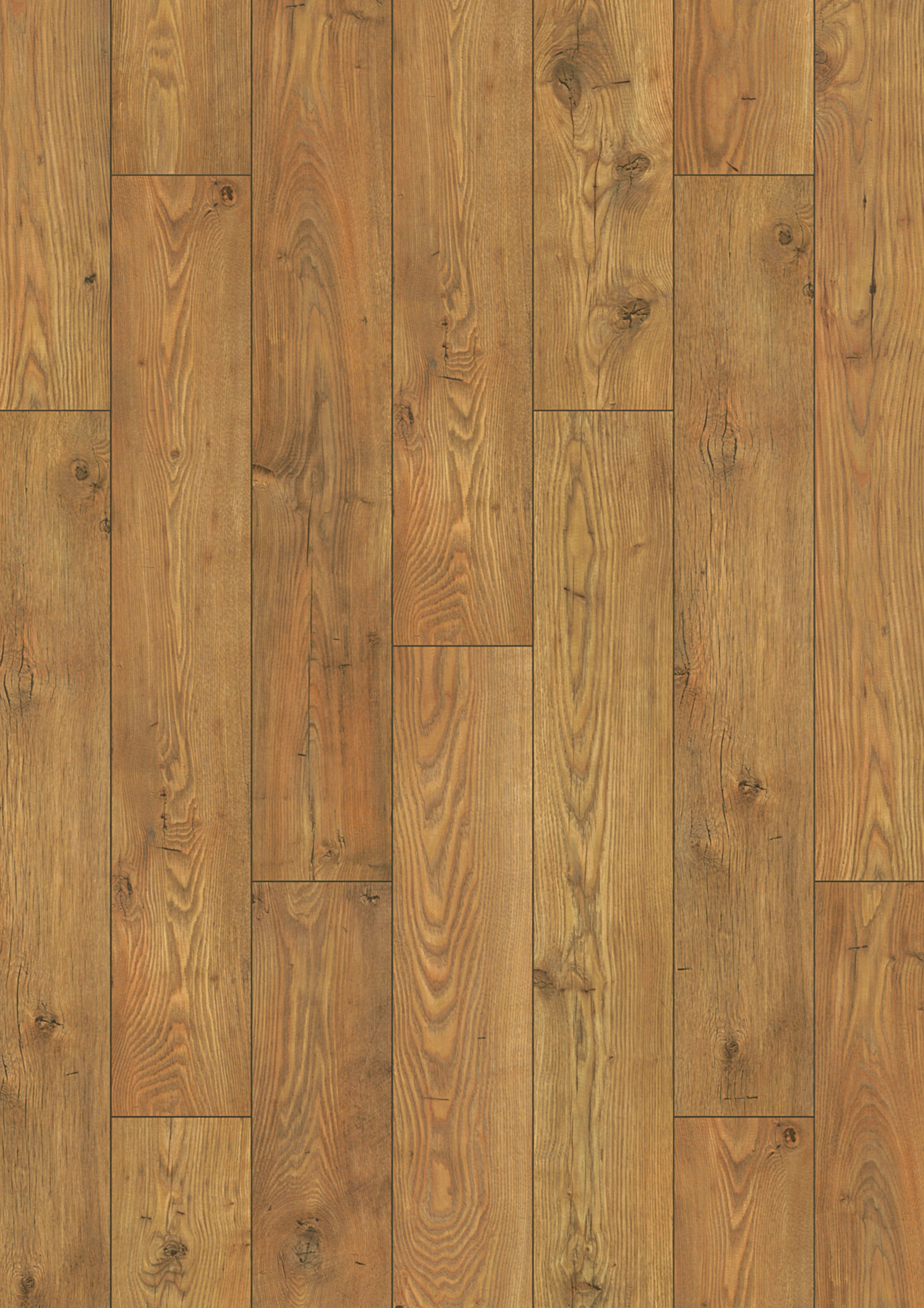 5537 Tawny Chestnut