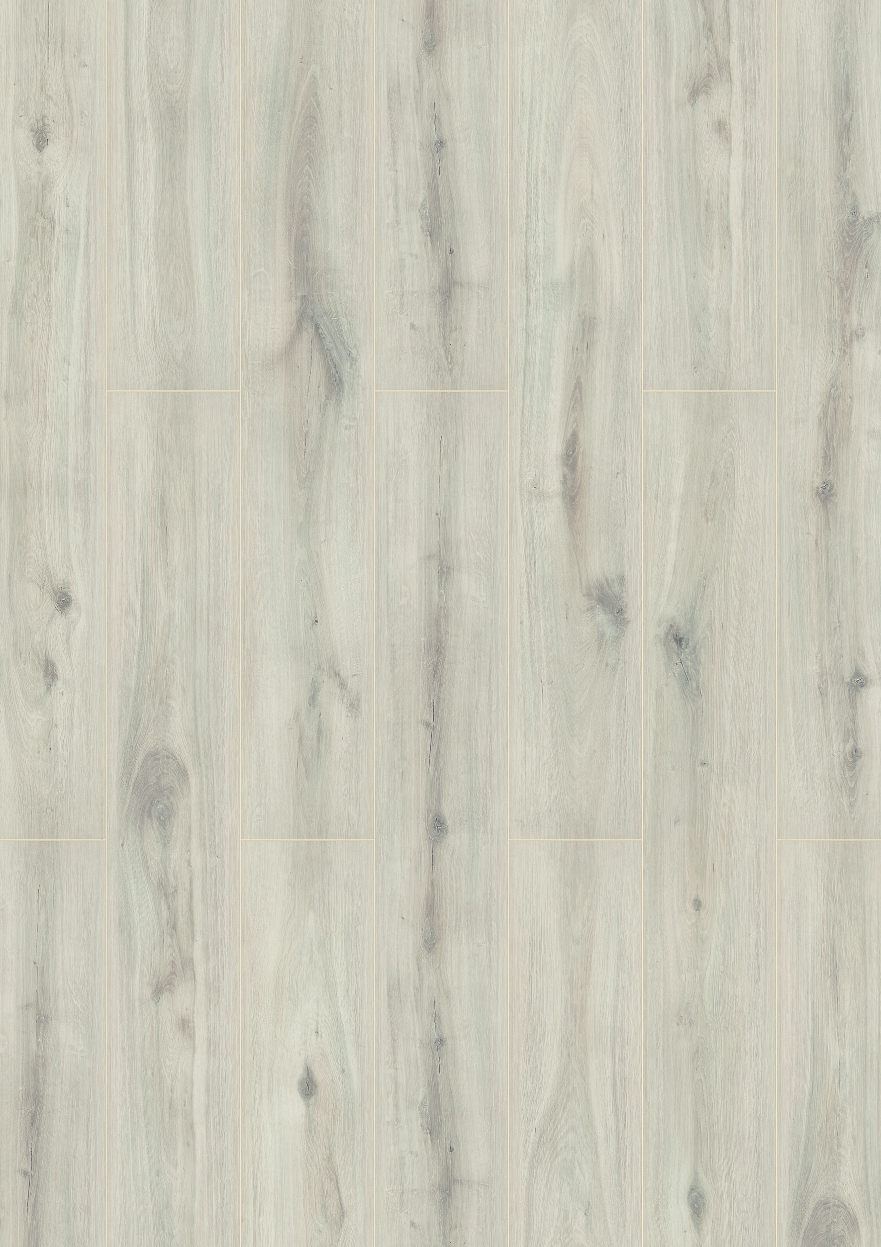 K231 Misty Plains Oak