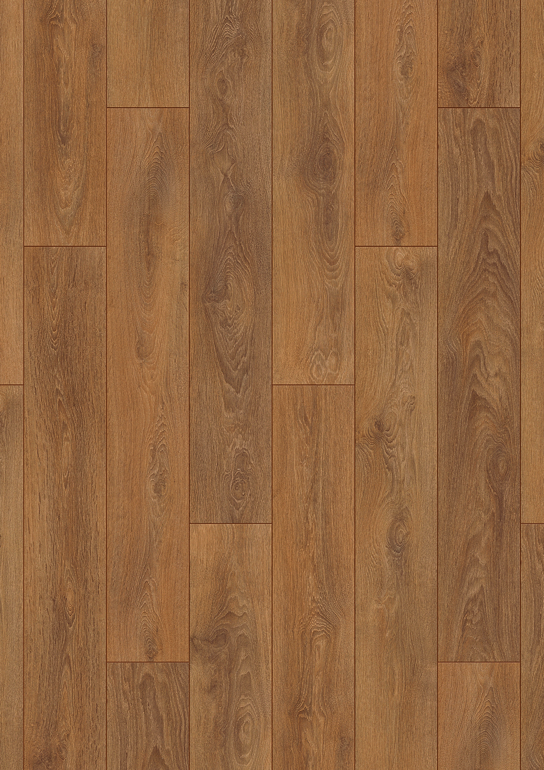 8573 Harlech Oak