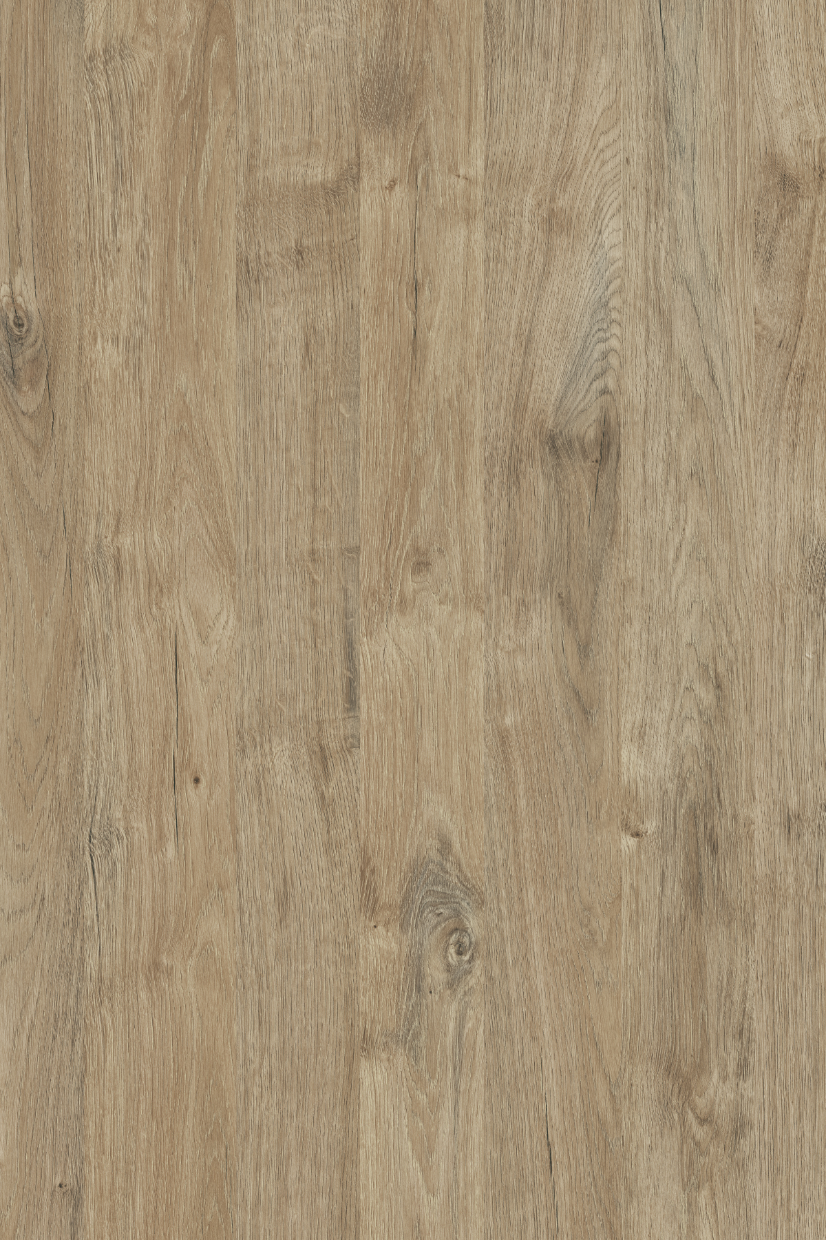 Gold Harbor Oak PW HPL with textured surface and rich brown tones.