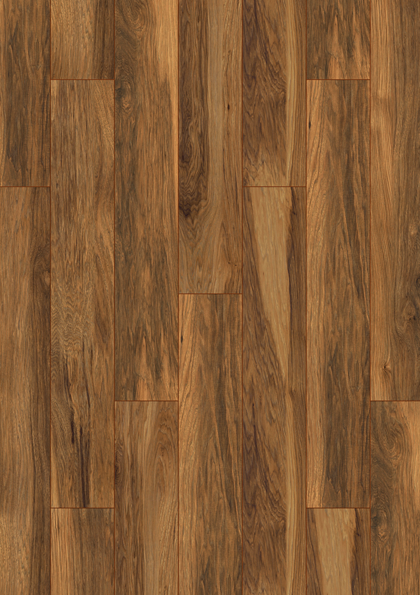 8155 Appalachian Hickory