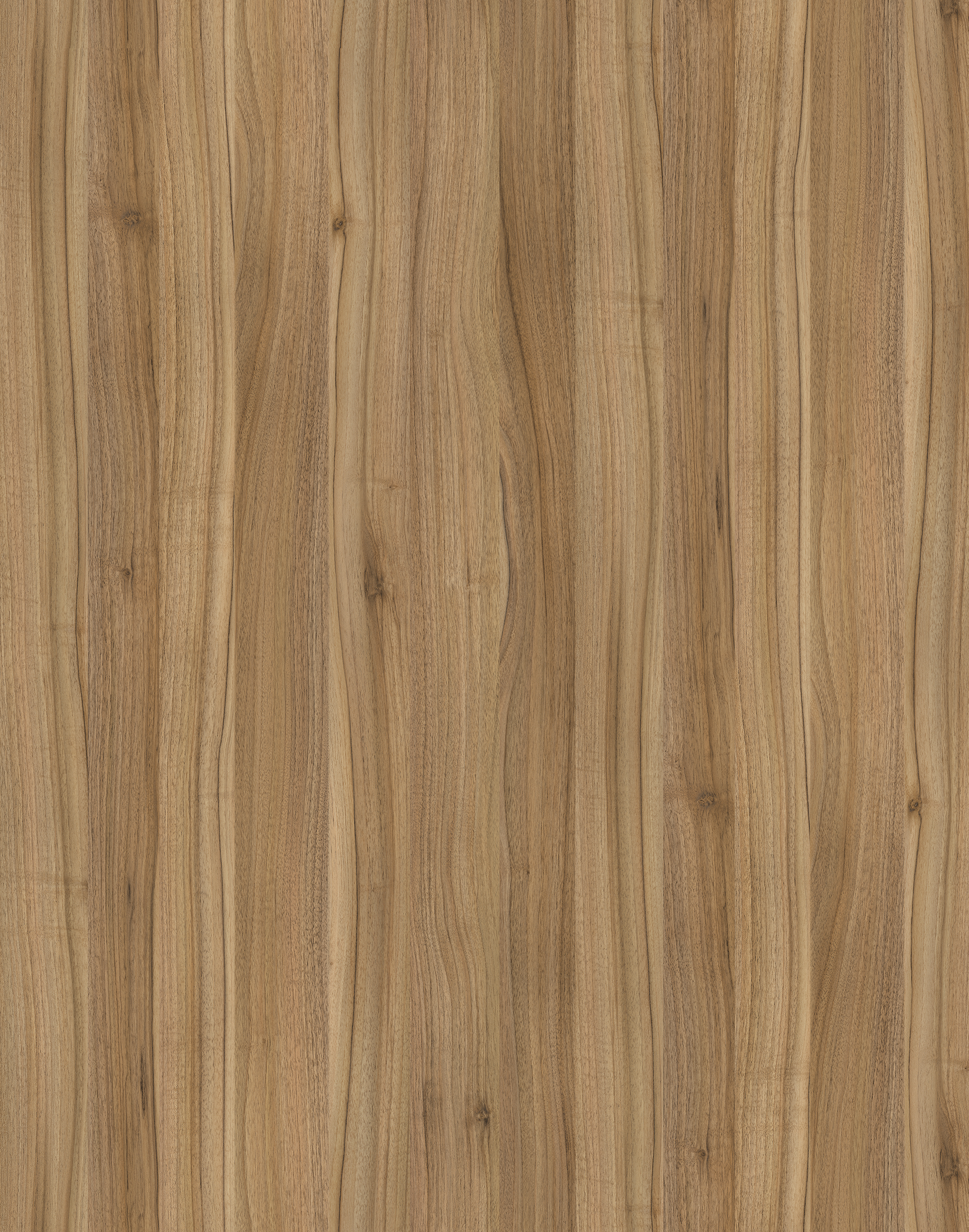 Detailed close-up of 9614 Alpine Walnut BS HPL, showcasing its beautiful walnut wood grain and rich color.