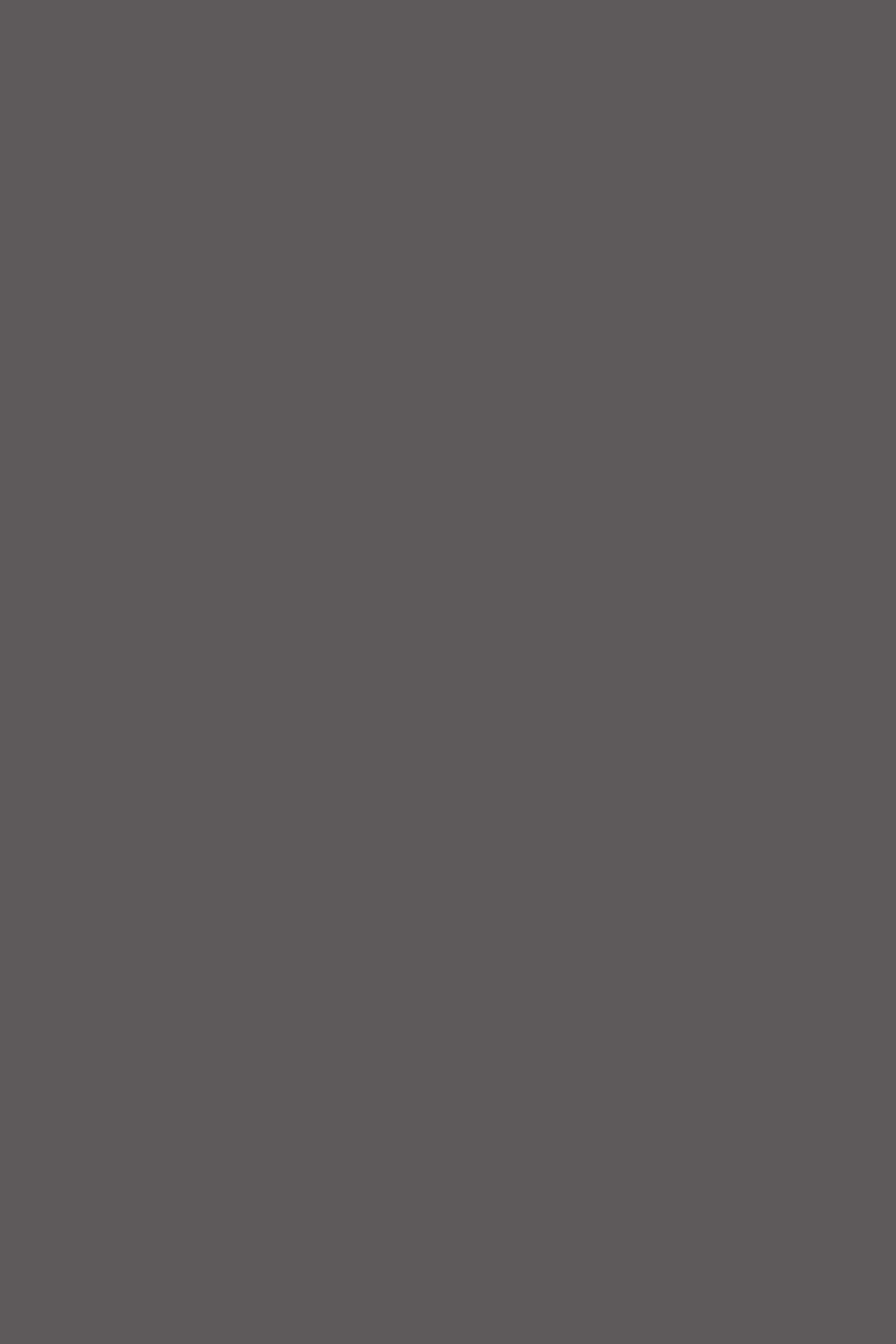 Graphite Grey AF sample from the FeelnNess invisible touch collection, featuring a cool, deep grey tone.