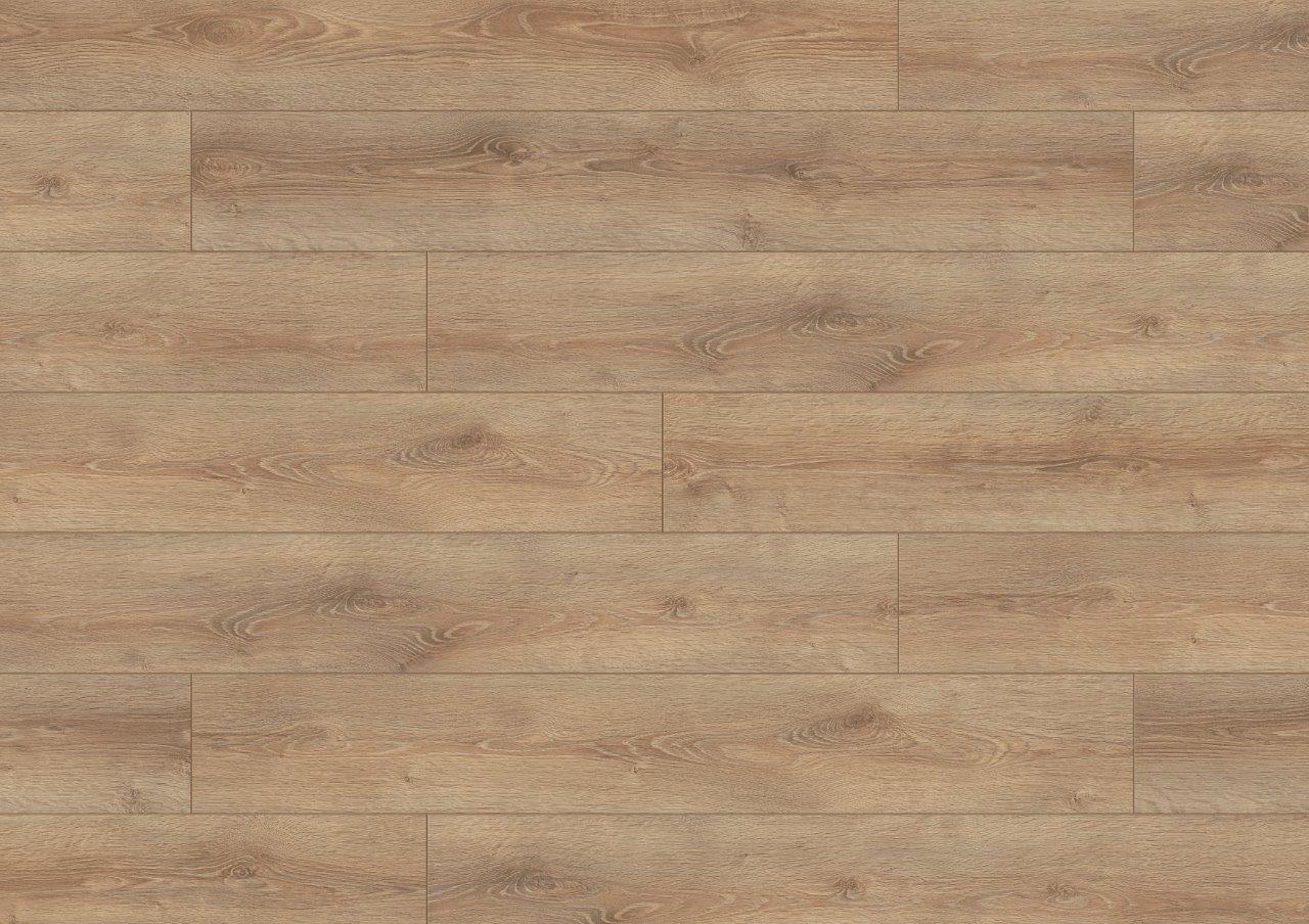 K057 Clearwater Oak (sample)