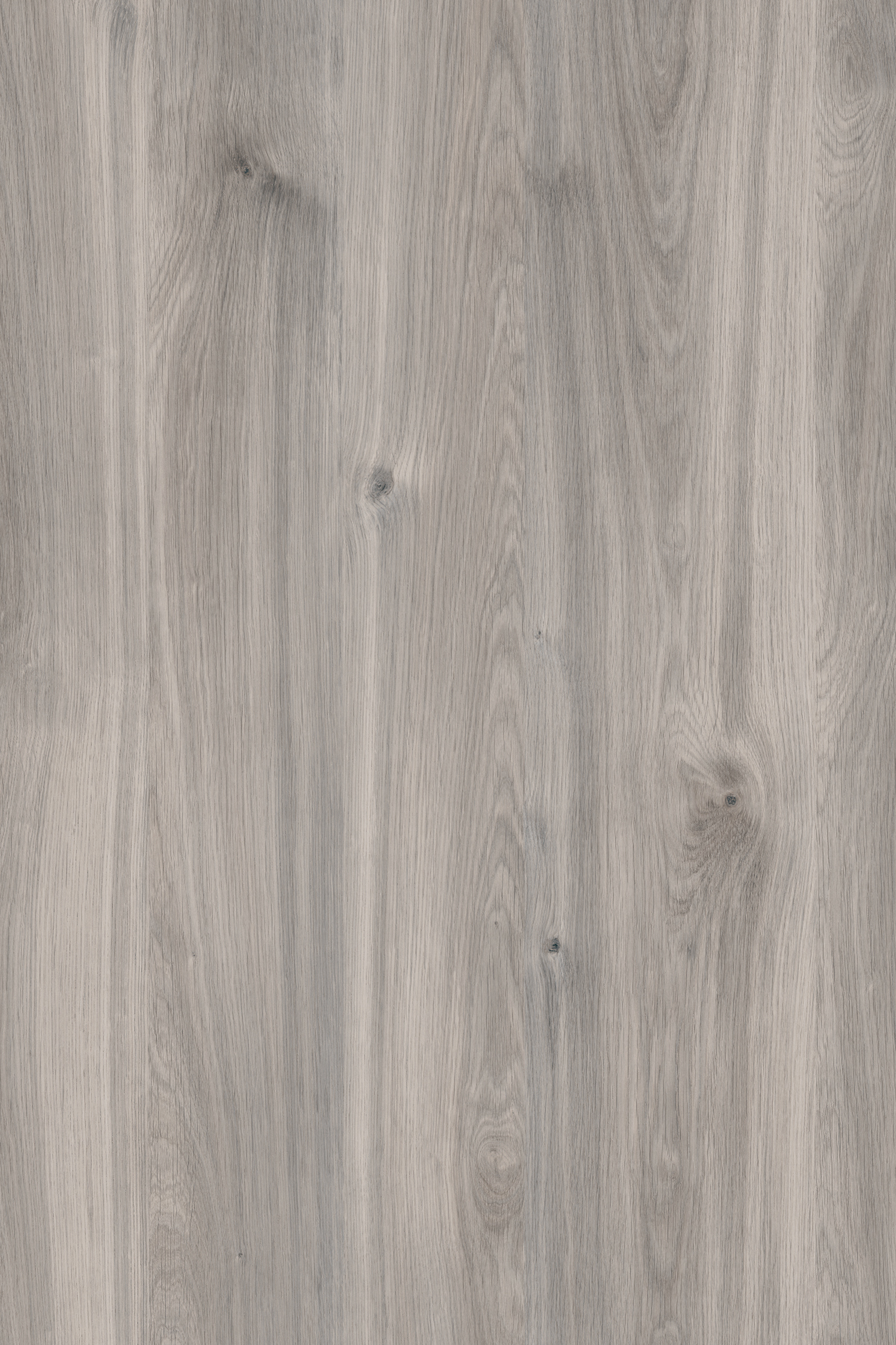 Greige Castello Oak HPL with textured surface and versatile greige tones.