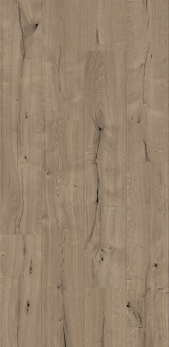 O272 Oak Bristol