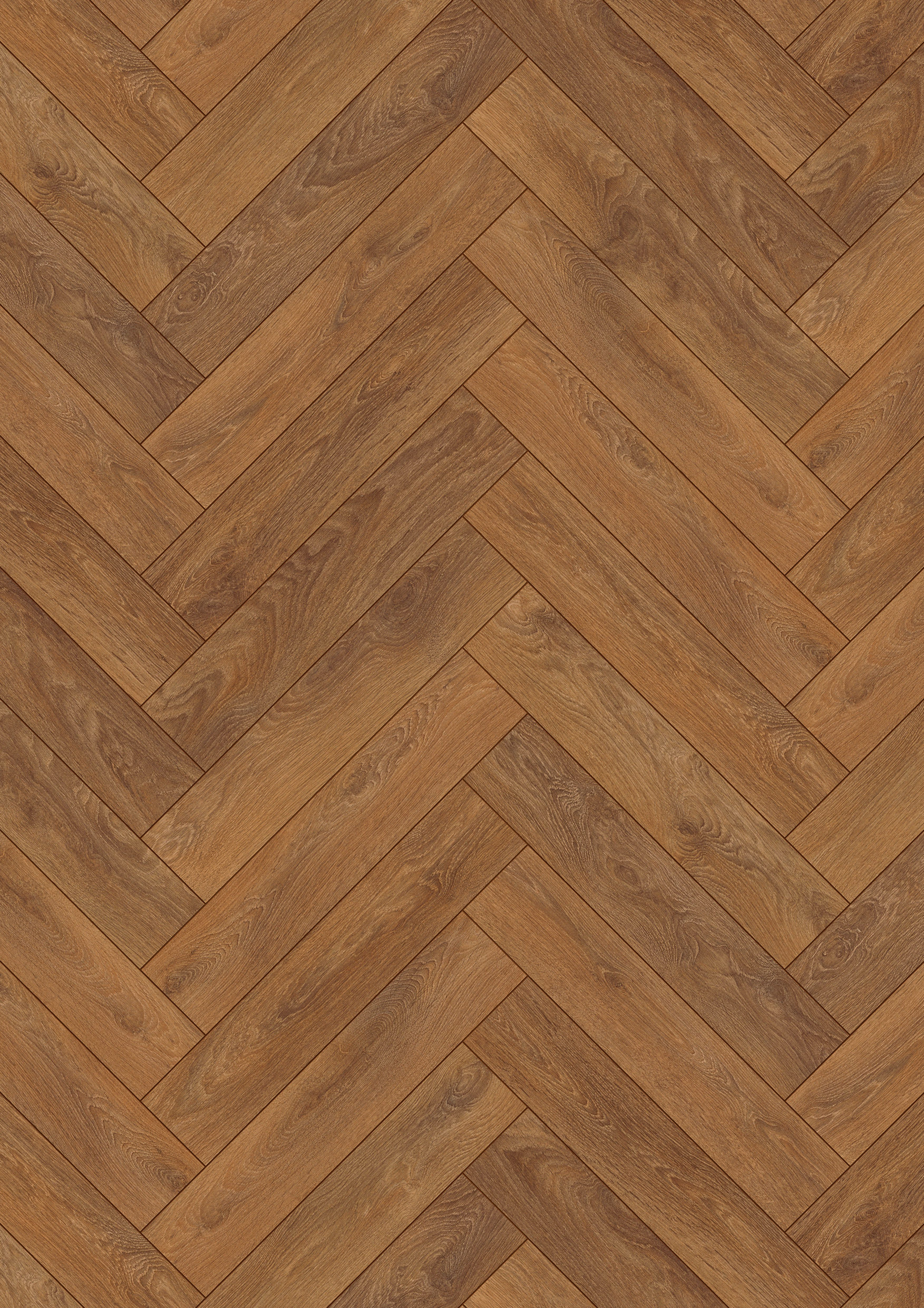 8573 Harlech Oak