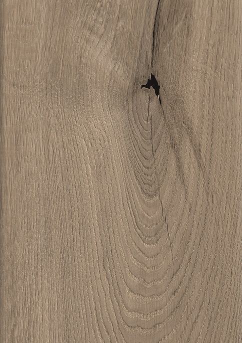 O272 Oak Bristol