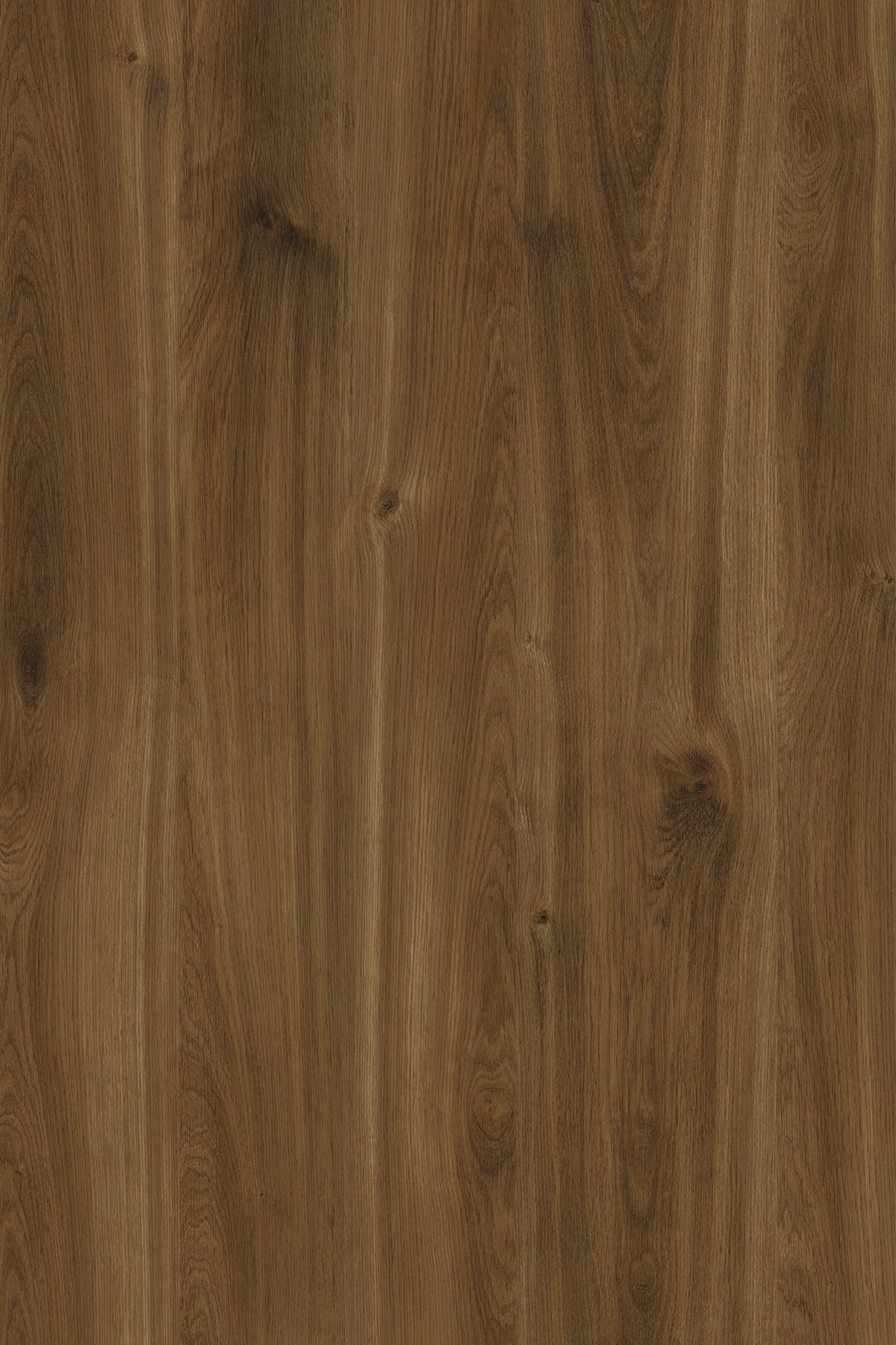 Brandy Castello Oak PW HPL with textured surface, deep brown tones, and an inviting, warm look.