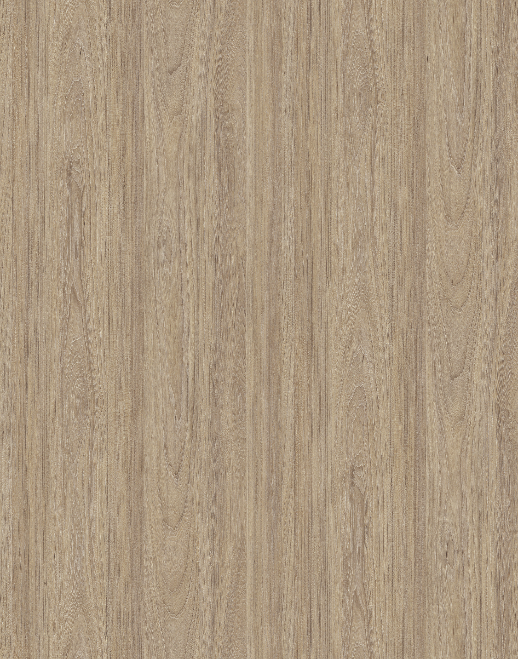 Elegant Noble Elm 5500 SU HPL with natural wood grain and warm tones.