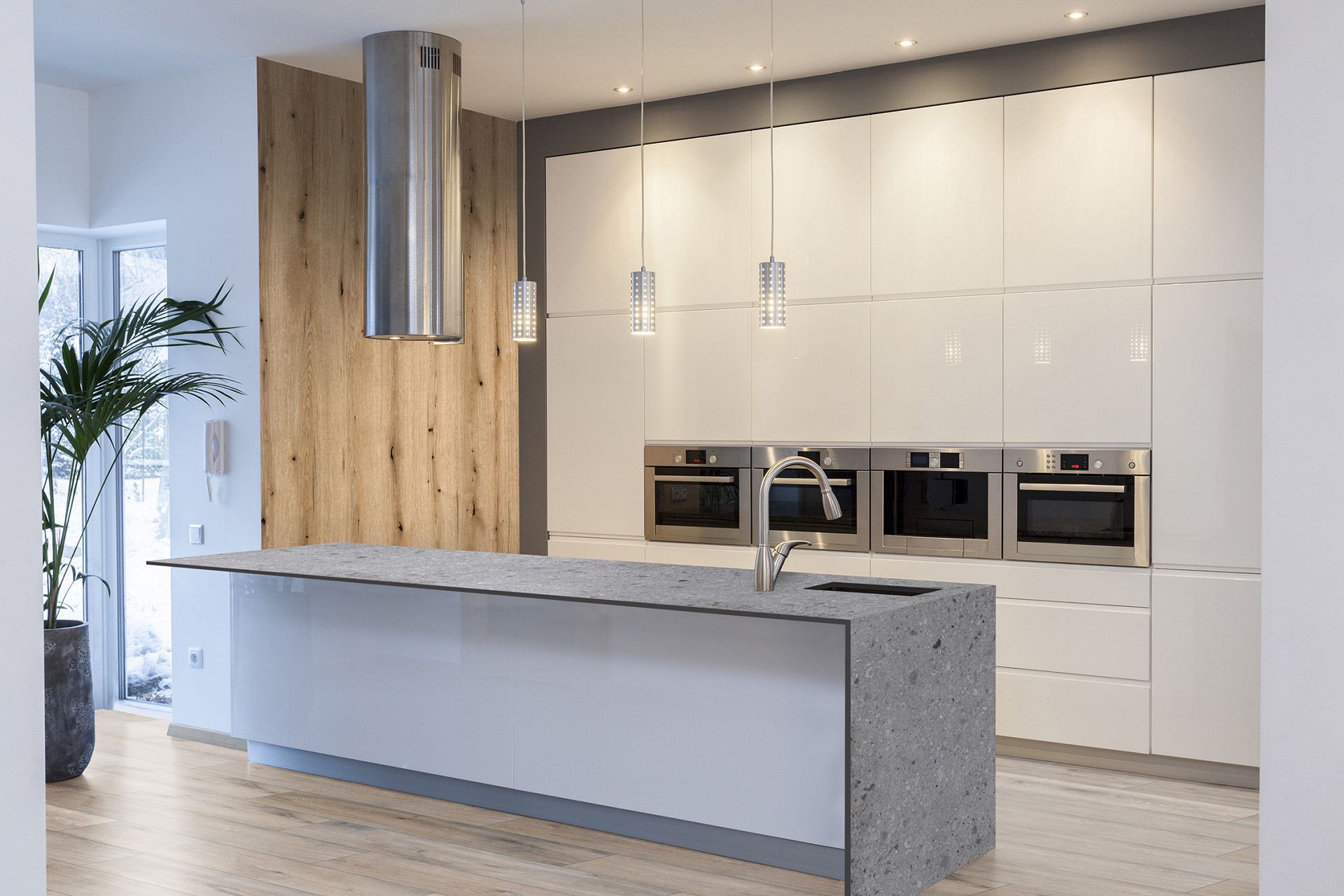 Coast Evoke Oak SPC wall panel from Rocko Tiles collection in kitchen – elegant oak-effect surface as accent 