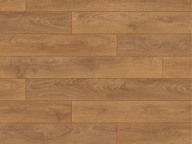 8573 Harlech Oak (sample)