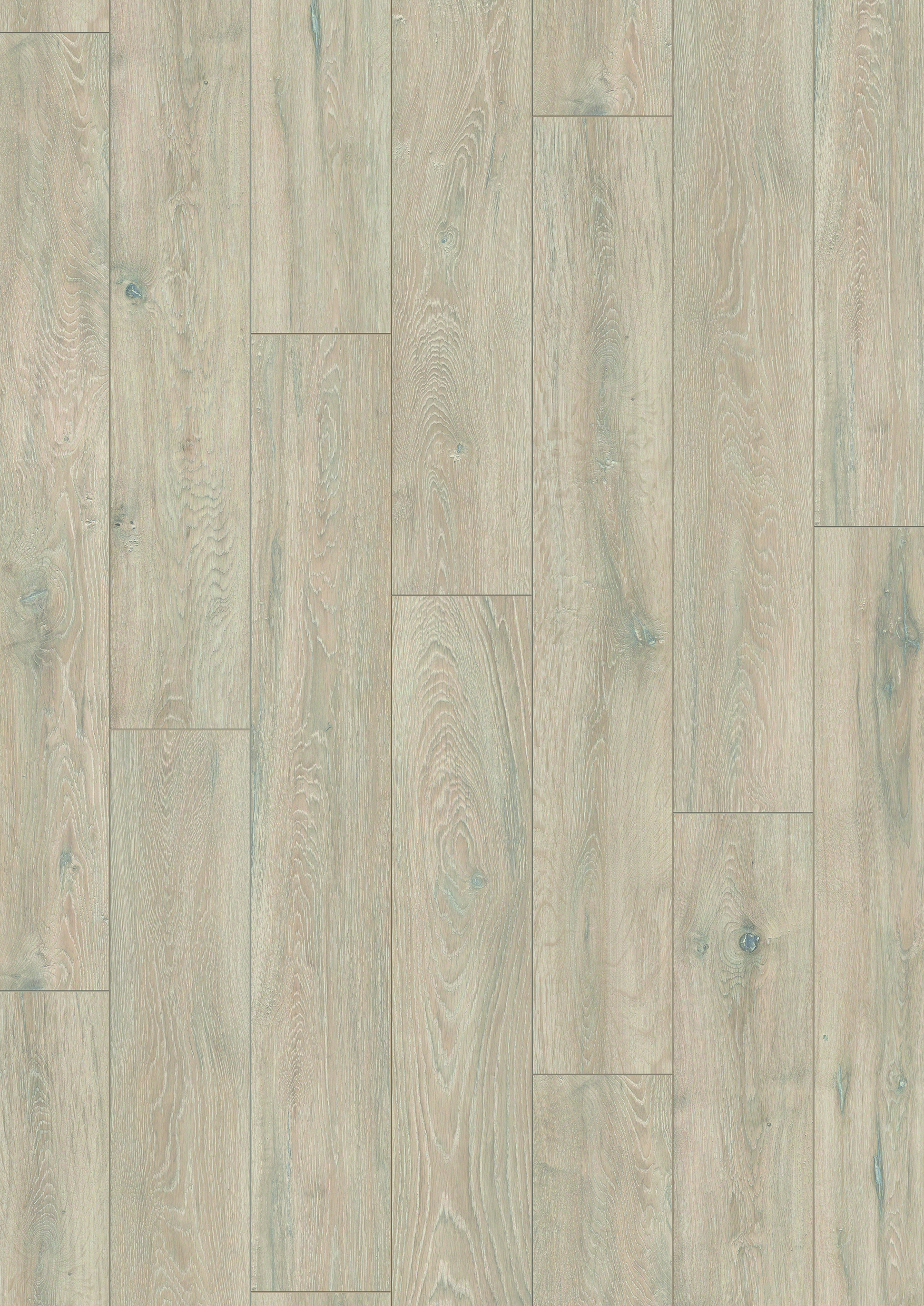 5543 Colorado Oak